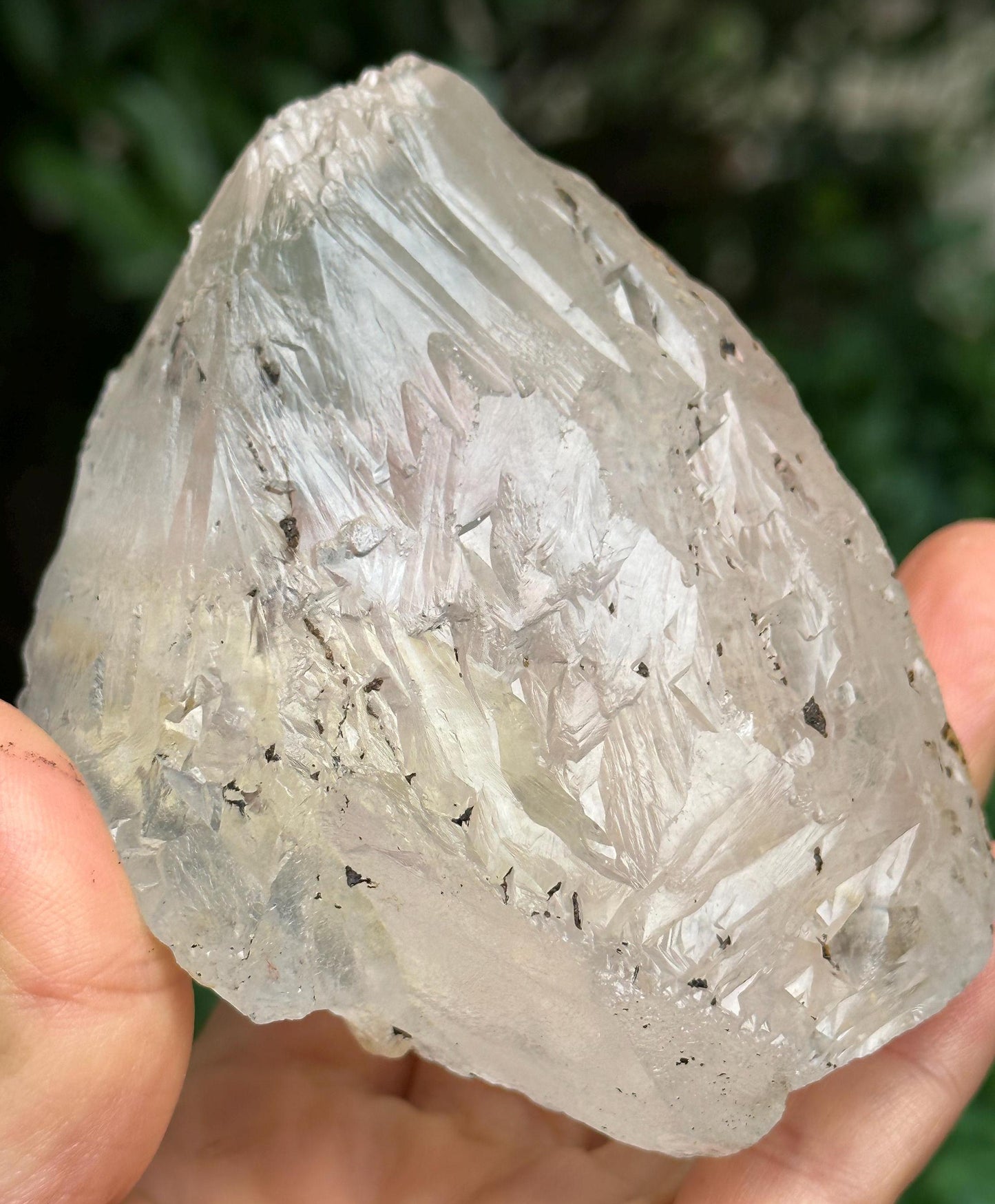 Himalayan Nirvana Record-keeper Quartz Crystal/Self-healed Crystal/Erosioned Energy Crystal/Etched Healing/Meditation/Healing/Reiki/Zen-308g