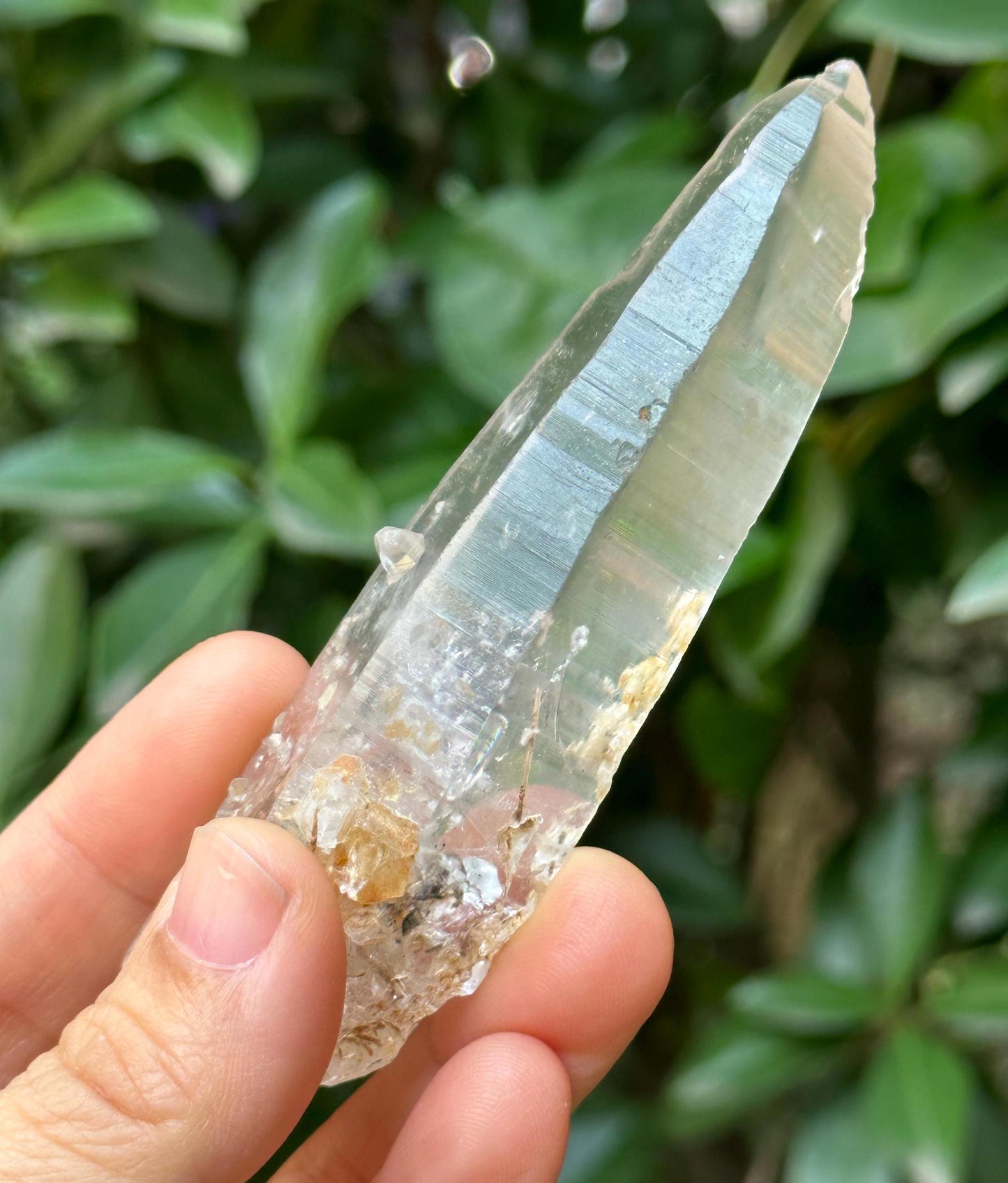 Clear Himalayan Lemurian Laser Quartz Crystal Wand Tourmaline Included/Energy/Reiki/Healing/Meditation/Collection/Generator Crystal -71 g