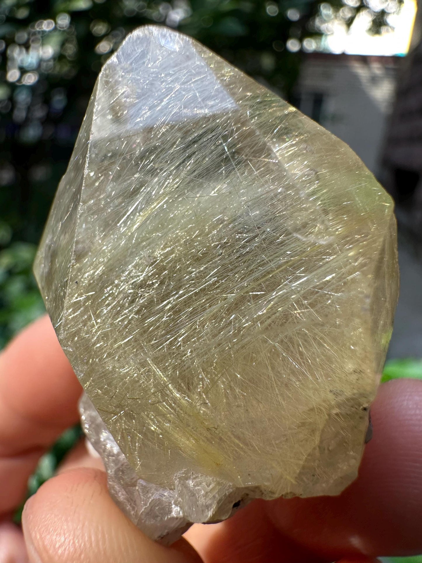 Rare Raw Clear Golden Rutile Quartz Crystal Point/Rutilated Golden Needles Included Energy Crystal/Reiki/Healing Crystal/Meditation-43 g