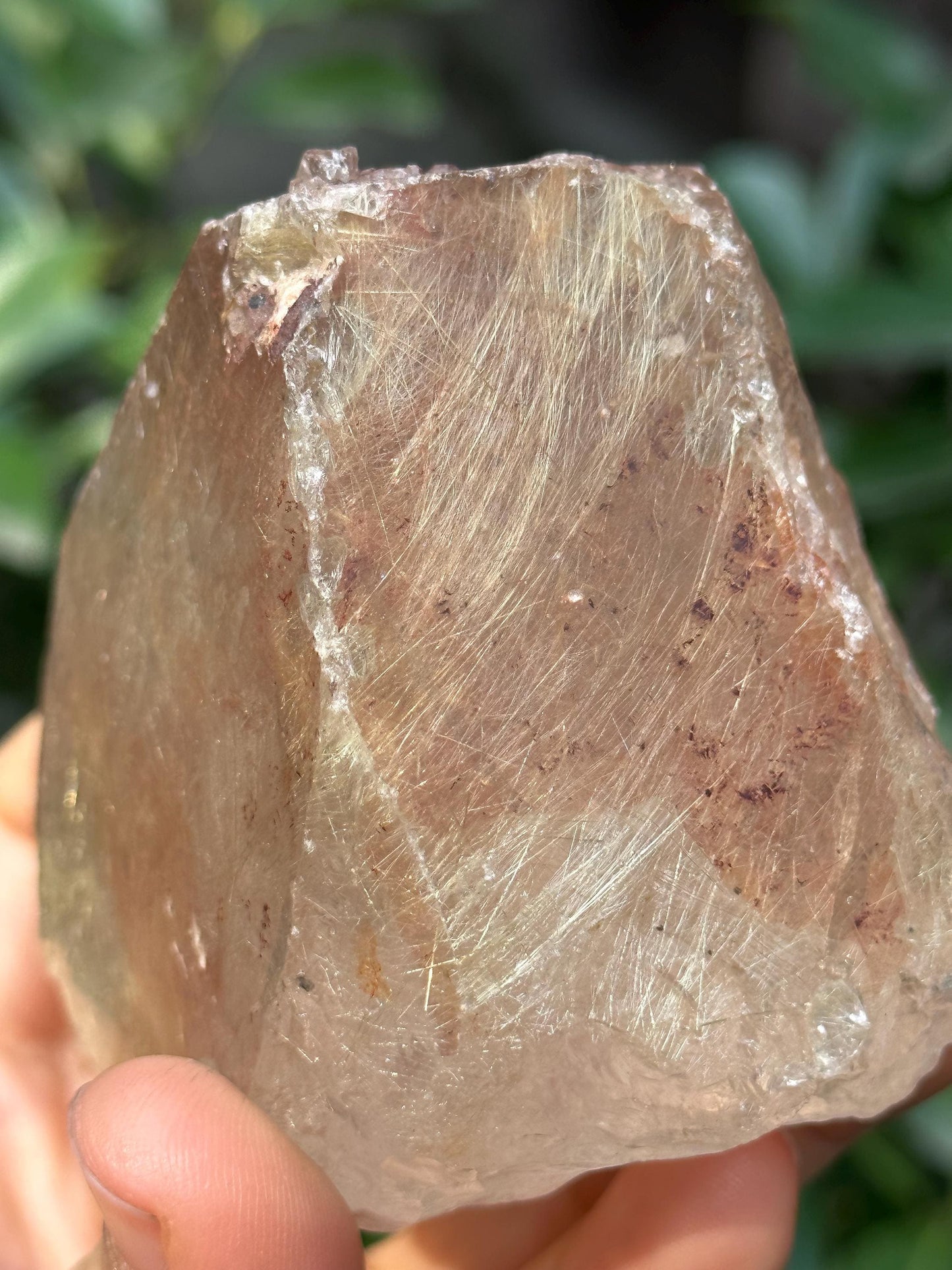 Rare Natural Clear Golden Rutile Quartz Crystal Point/Rutilated Golden Needles Included Energy Crystal/Reiki/Healing Crystal/Meditation-316g