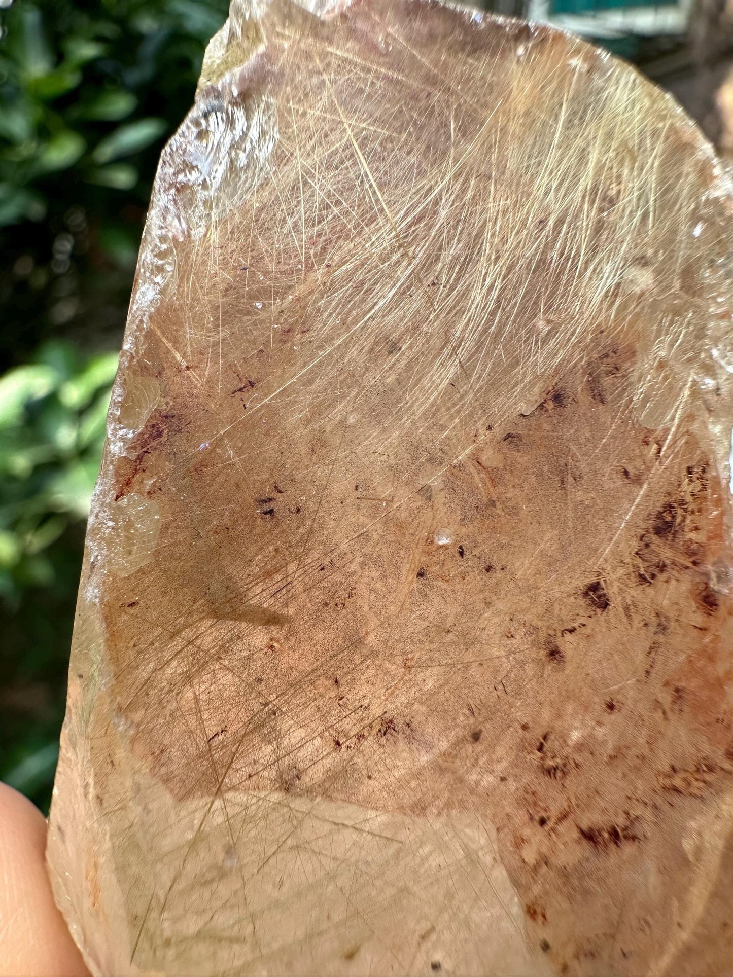 Rare Natural Clear Golden Rutile Quartz Crystal Point/Rutilated Golden Needles Included Energy Crystal/Reiki/Healing Crystal/Meditation-316g