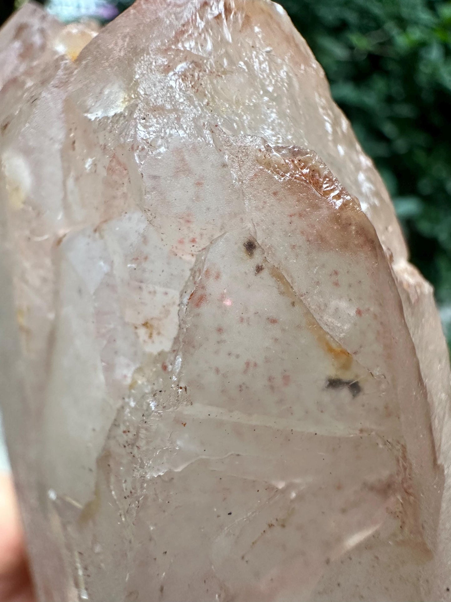 Large Tabular Double Terminated  Strawberry Quartz Crystal/Hematite Limonite Goethite Included/Collection/Meditation/Reiki/Healing-1521 g