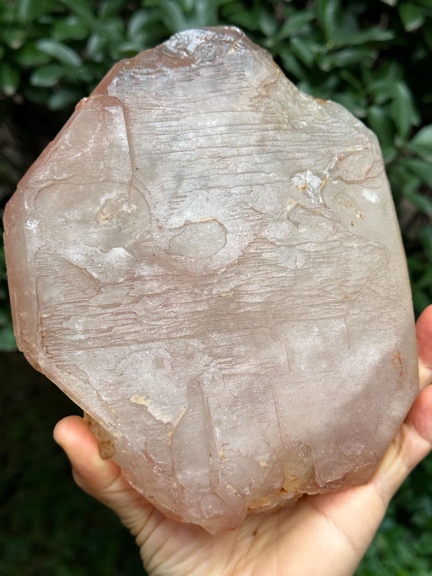 Large Tabular Double Terminated  Strawberry Quartz Crystal/Hematite Limonite Goethite Included/Collection/Meditation/Reiki/Healing-1521 g