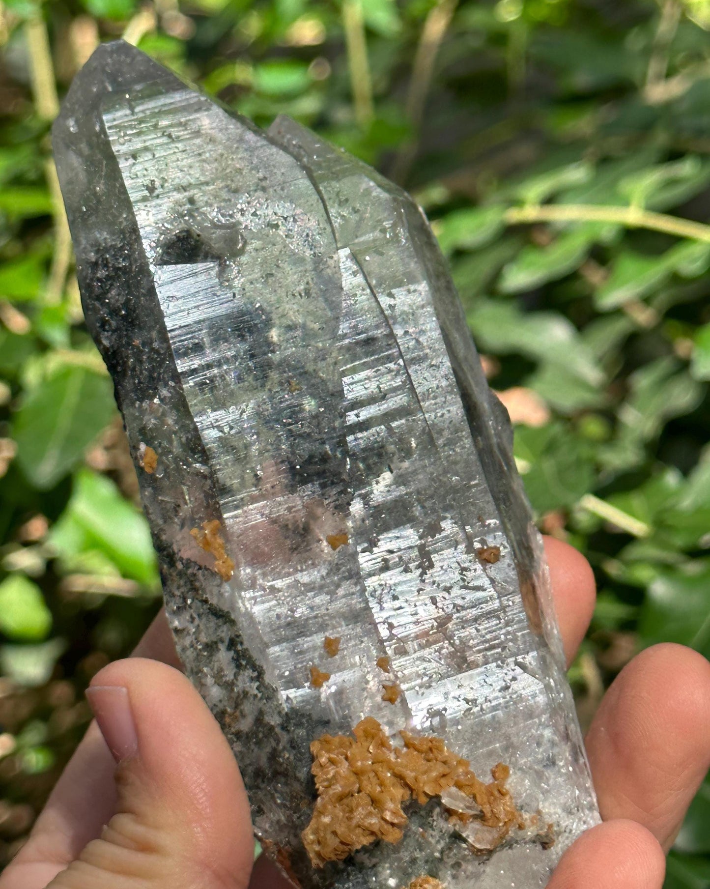 Raw Shining Twins Green Phantom Quartz Crystal/Chlorite Quartz Inclusion/Tibet Energy Crystal/Crystal Collection/Meditation/Healing-201 g