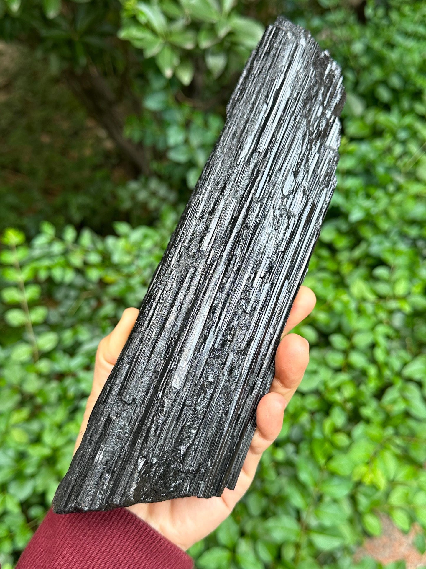 9.4" EXTRA LONG Raw Black Tourmaline Crystal/Shining Tourmaline Specimen/Rough Tourmaline Specimen/Collection/Meditation/Healing-1588 g