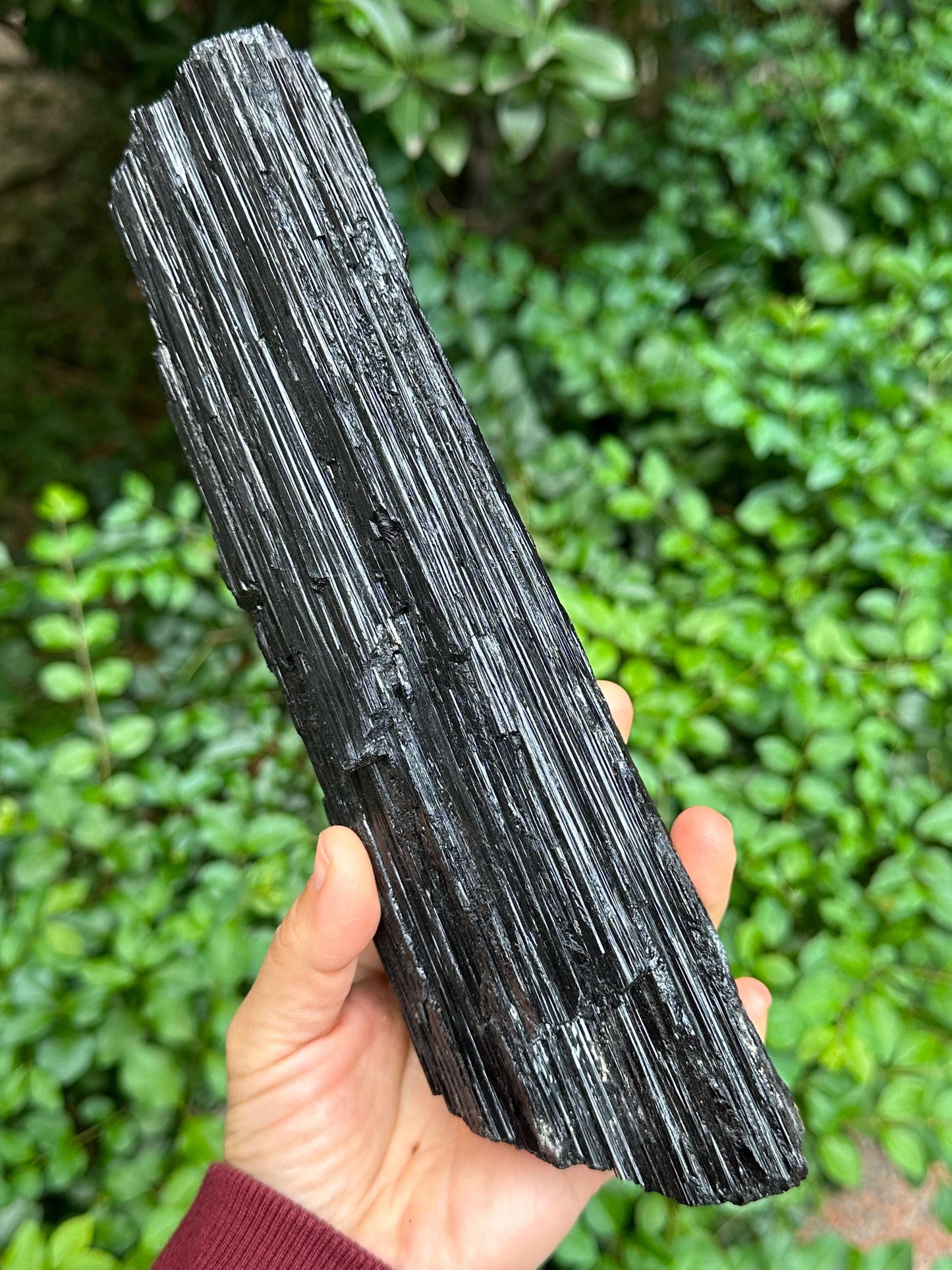 9.4" EXTRA LONG Raw Black Tourmaline Crystal/Shining Tourmaline Specimen/Rough Tourmaline Specimen/Collection/Meditation/Healing-1588 g