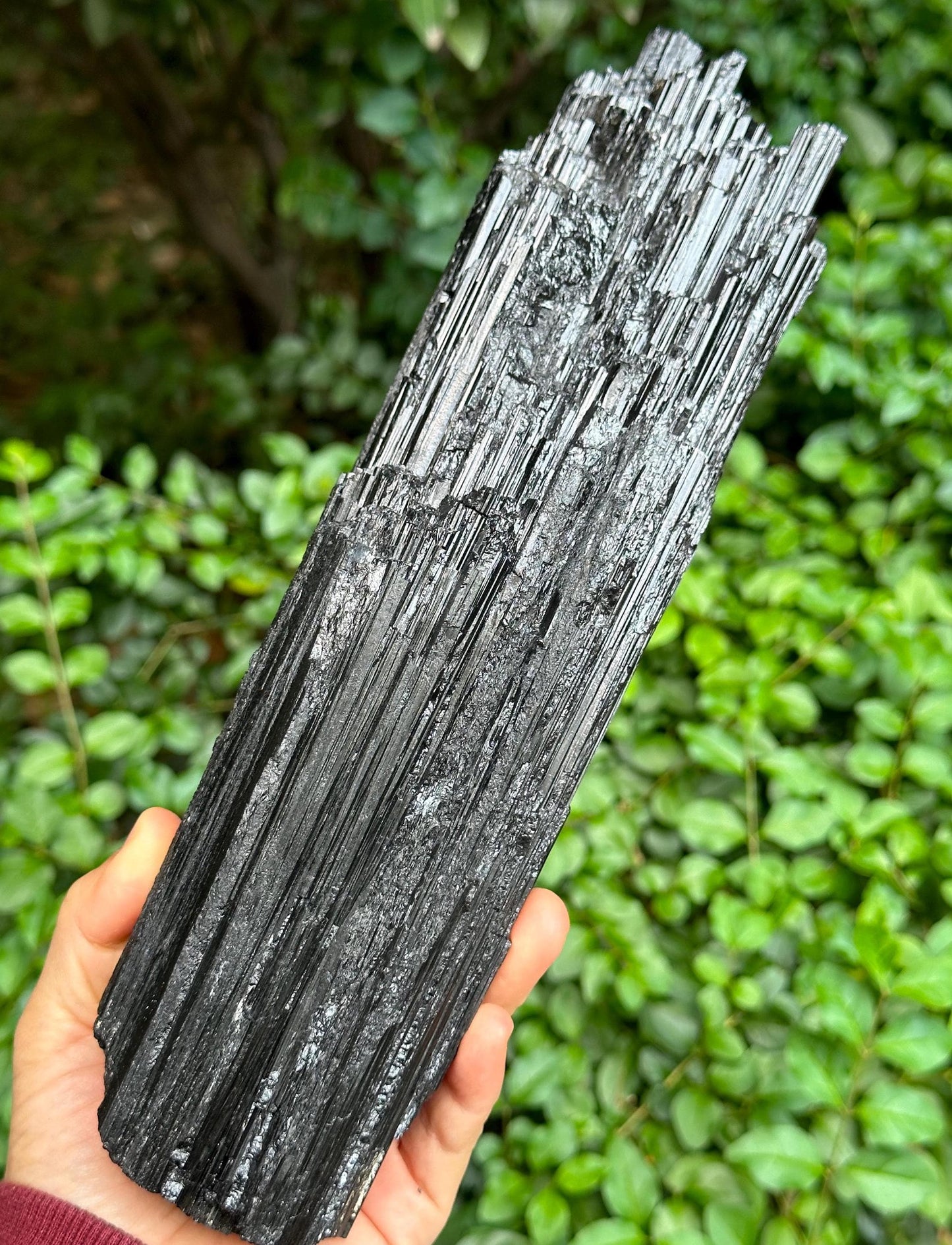 10.4" EXTRA LONG Raw Black Tourmaline Crystal/Shining Tourmaline Specimen/Rough Tourmaline Specimen/Collection/Meditation/Healing-2200 g