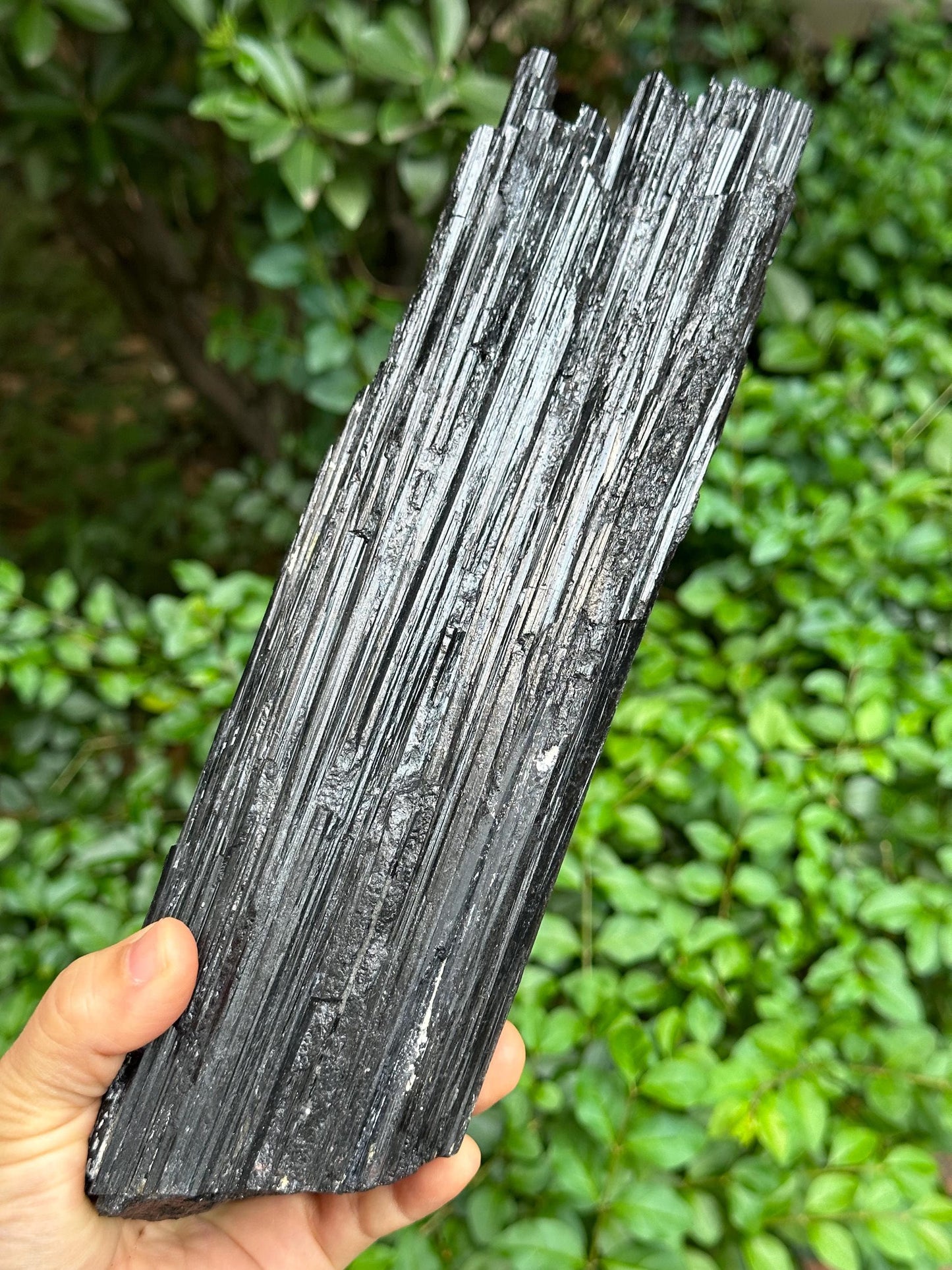 10.4" EXTRA LONG Raw Black Tourmaline Crystal/Shining Tourmaline Specimen/Rough Tourmaline Specimen/Collection/Meditation/Healing-2200 g