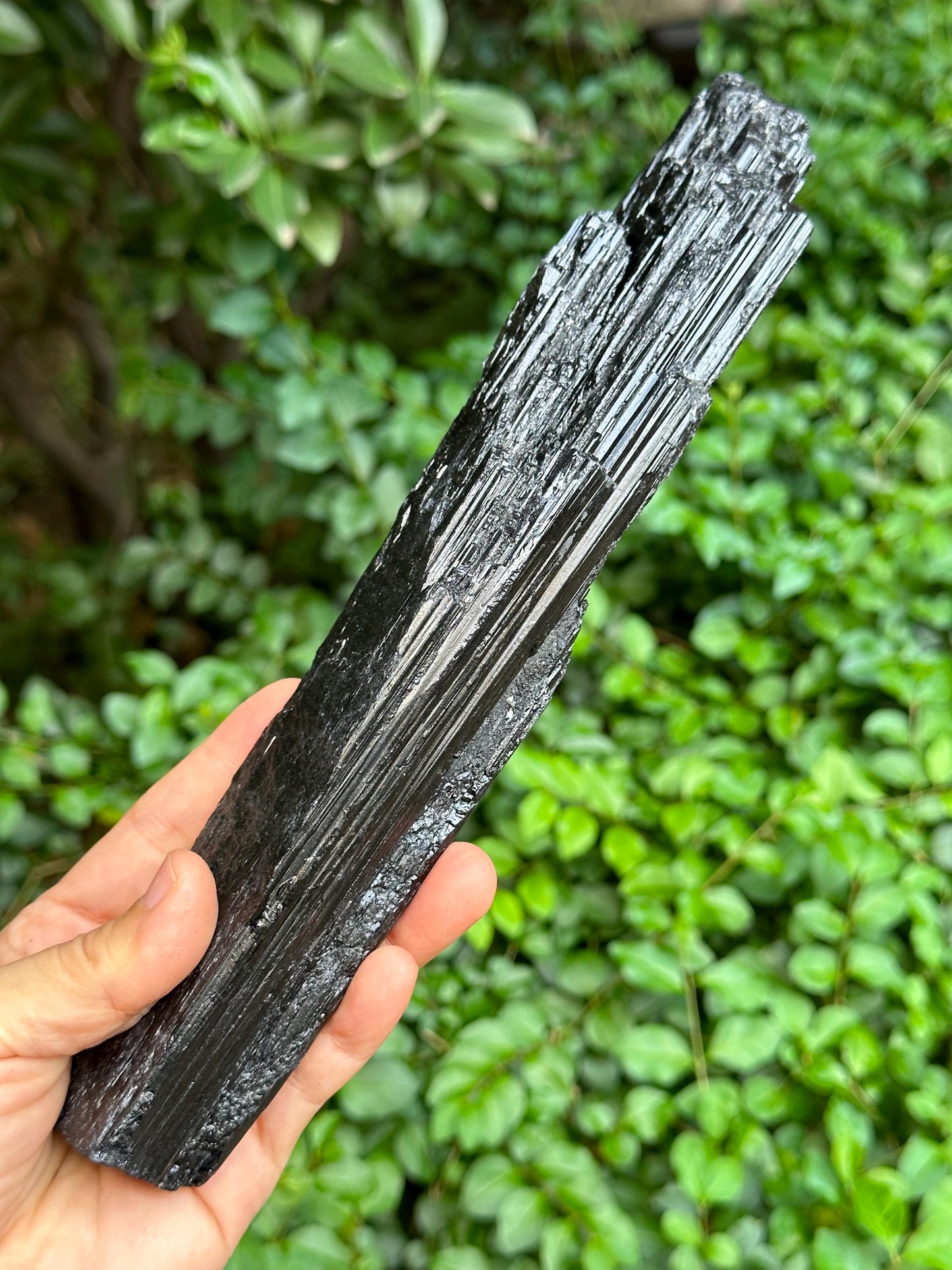 9.8" EXTRA LONG Raw Black Tourmaline Crystal/Shining Tourmaline Specimen/Rough Tourmaline Specimen/Collection/Meditation/Healing-674 g