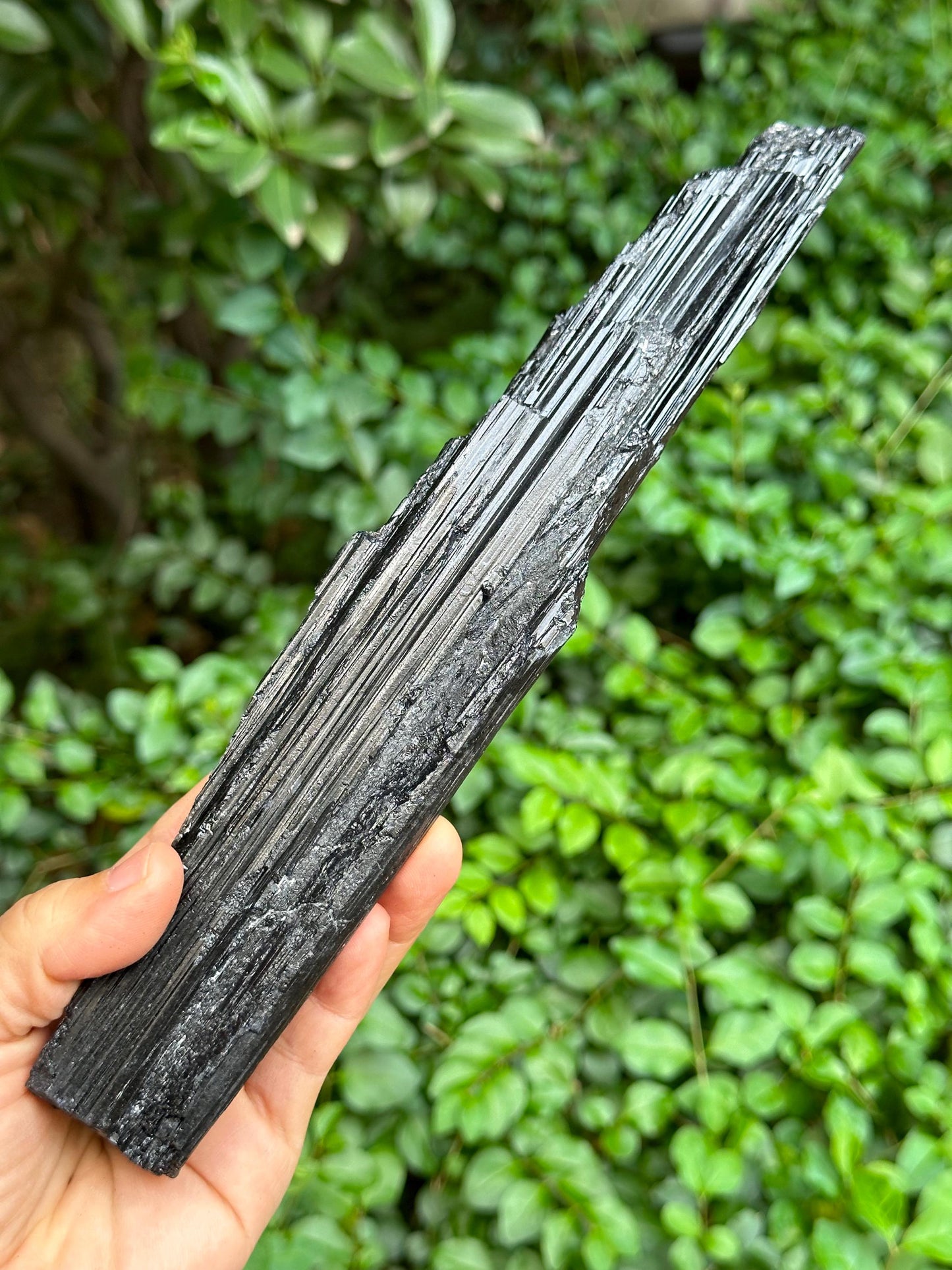 9.8" EXTRA LONG Raw Black Tourmaline Crystal/Shining Tourmaline Specimen/Rough Tourmaline Specimen/Collection/Meditation/Healing-674 g