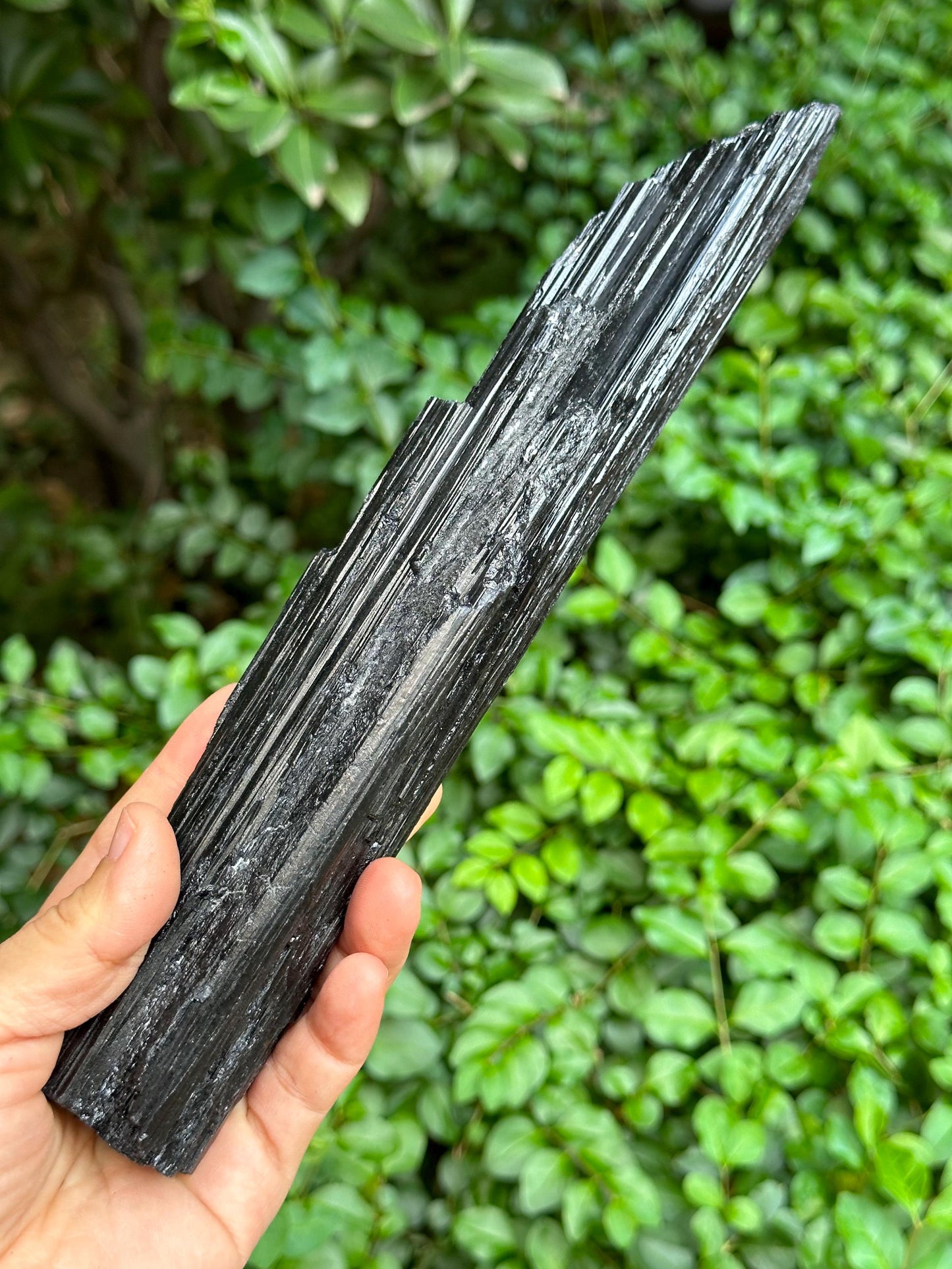 9.8" EXTRA LONG Raw Black Tourmaline Crystal/Shining Tourmaline Specimen/Rough Tourmaline Specimen/Collection/Meditation/Healing-674 g