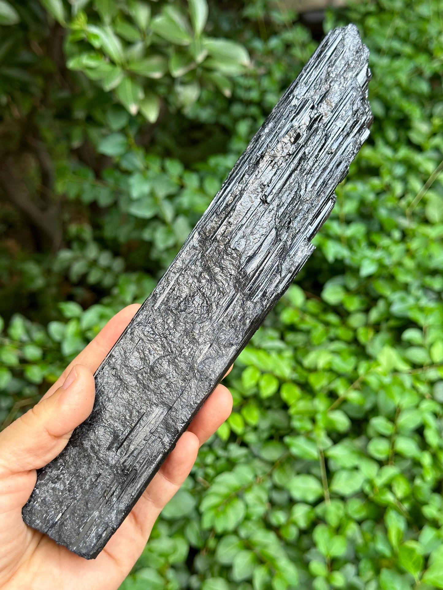 9.8" EXTRA LONG Raw Black Tourmaline Crystal/Shining Tourmaline Specimen/Rough Tourmaline Specimen/Collection/Meditation/Healing-674 g