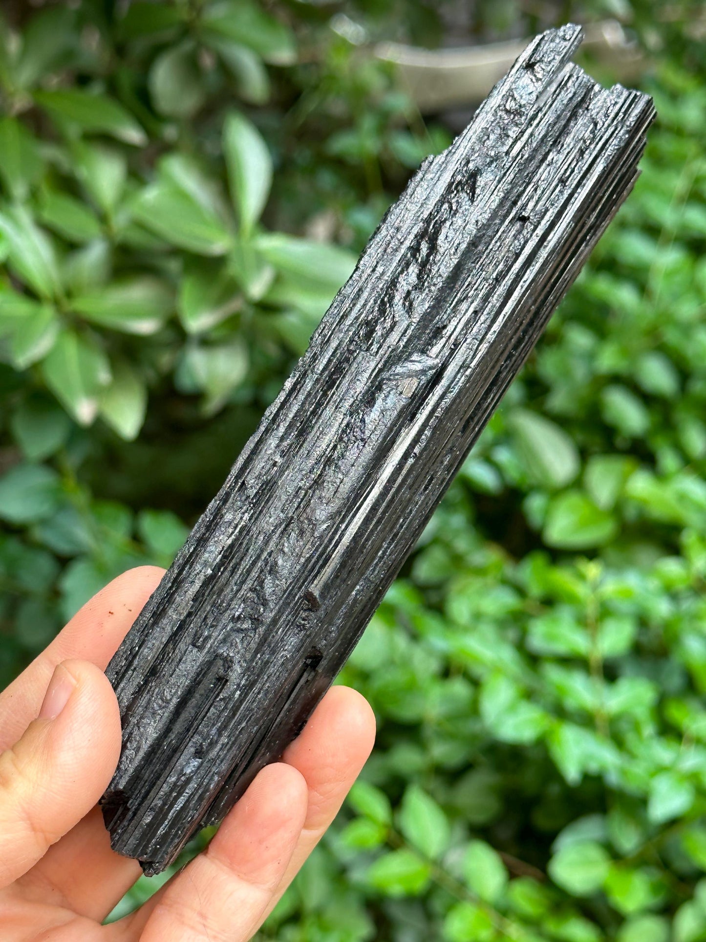 LONG Raw Black Tourmaline Crystal/Shining Tourmaline Specimen/Rough Tourmaline Specimen/Collection/Meditation/Healing-269 g