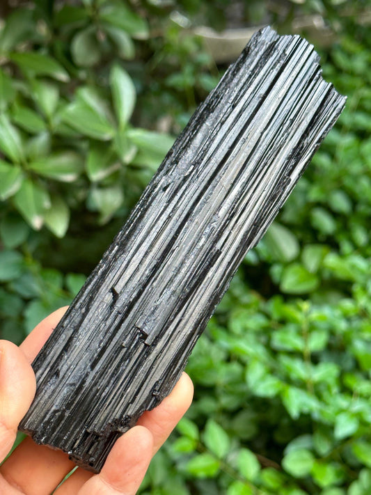 LONG Raw Black Tourmaline Crystal/Shining Tourmaline Specimen/Rough Tourmaline Specimen/Collection/Meditation/Healing-269 g