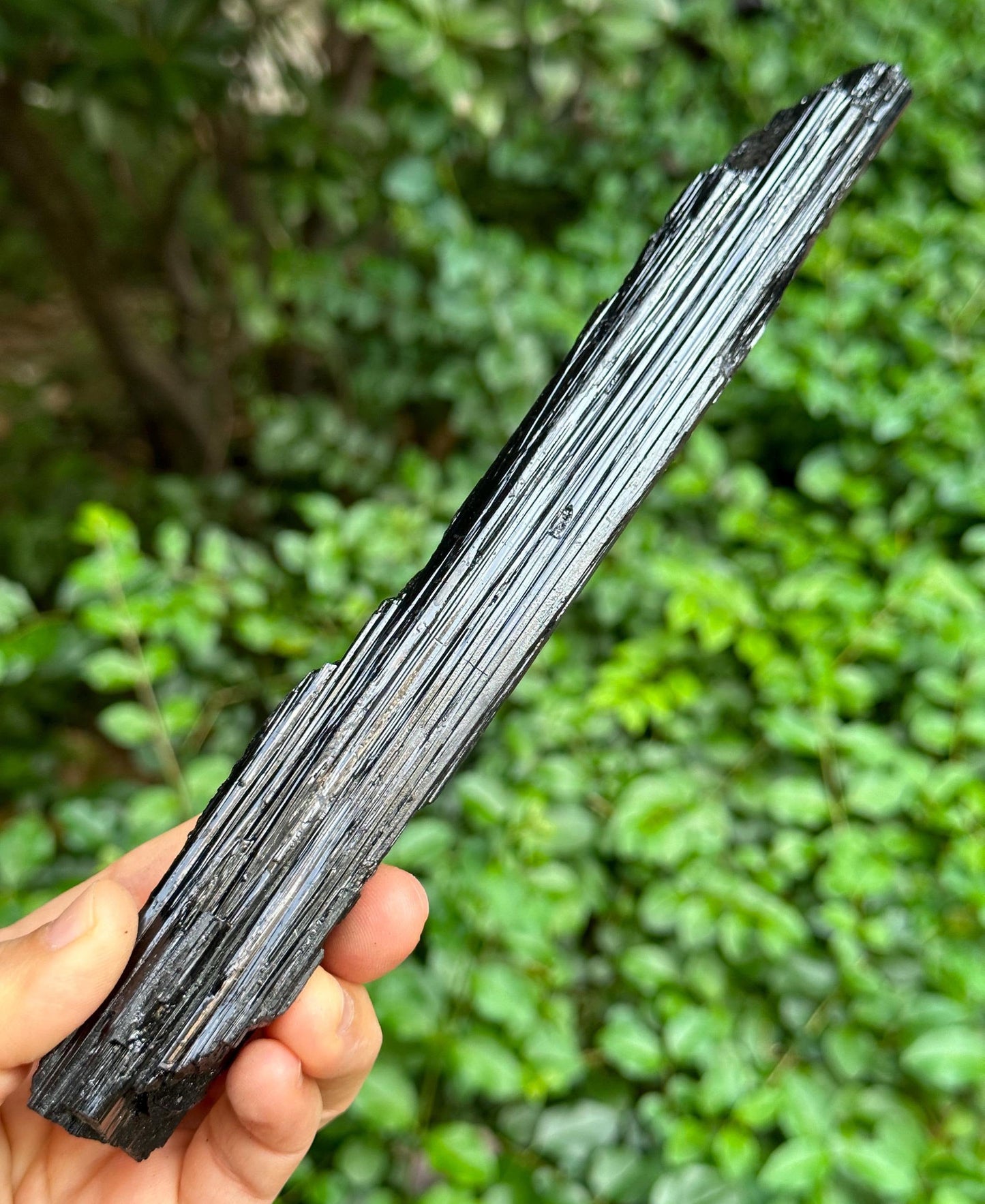 8.5" LONG Raw Black Tourmaline Crystal/Shining Tourmaline Specimen/Rough Tourmaline Specimen/Collection/Meditation/Healing-284 g