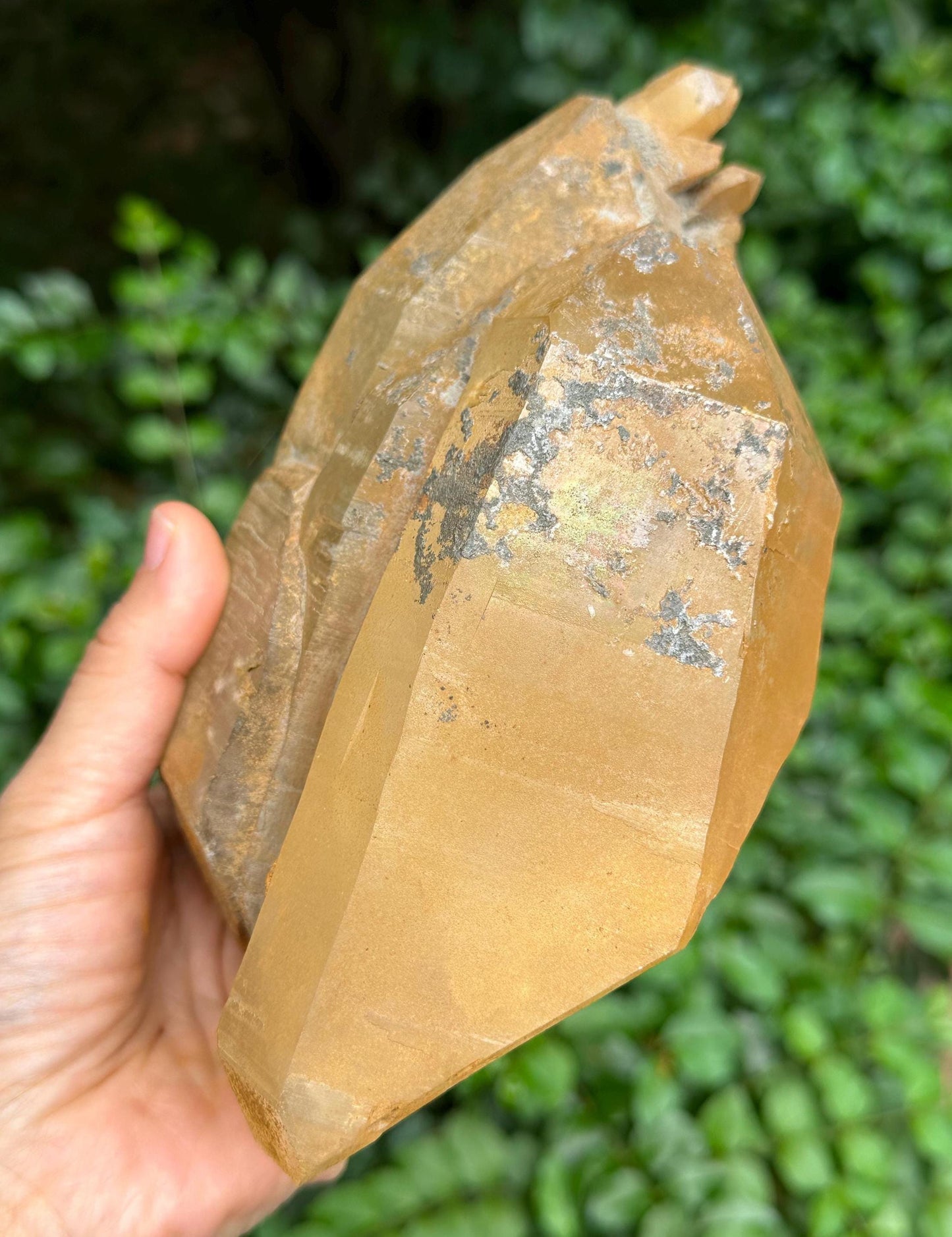 Golden Rainbow Himalayan Double Terminated Aura Quartz Crystal/Tibet Energy Crystal/Reiki/Healing/Meditation/Collection/Specimen-1416 g