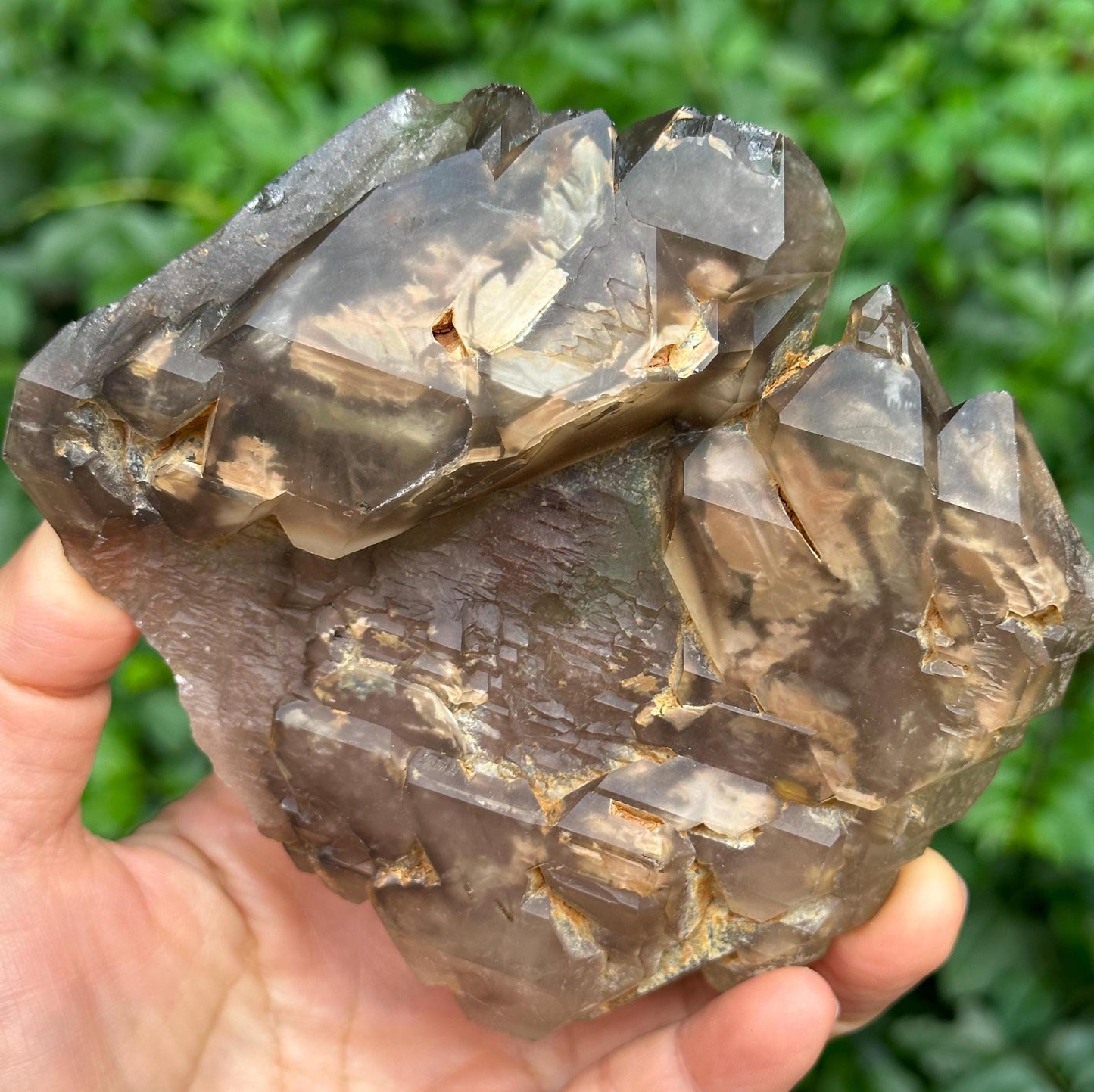 Strawberry Double Terminated Double Sided Tabular Skeletal Quartz Fenster Crystal with Golden Clay/Crystal Specimen/Healing Crystals-329 g