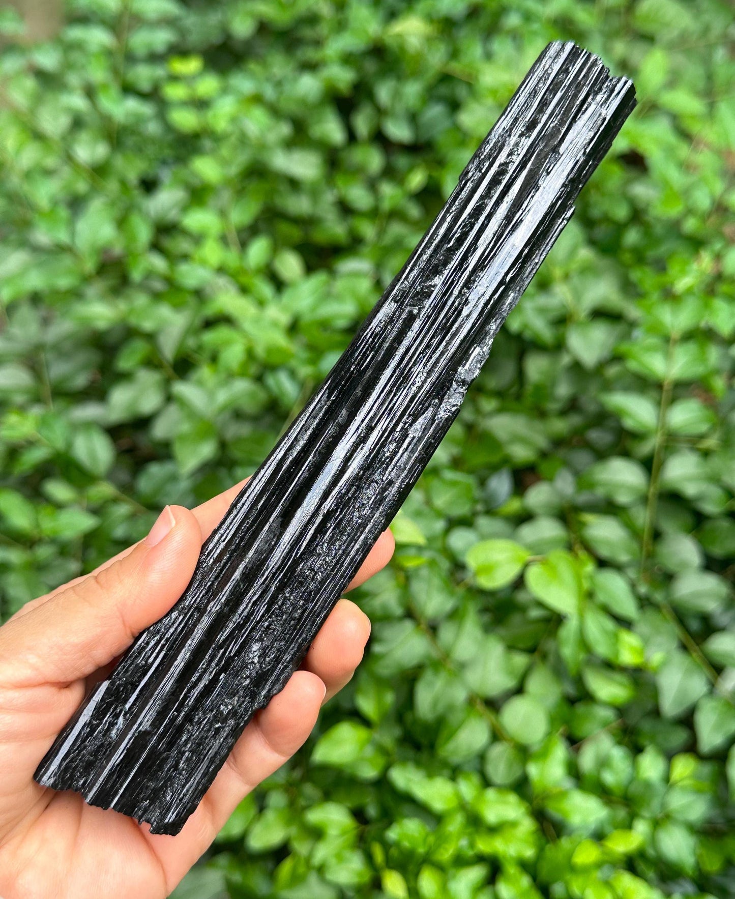 7.9" LONG Raw Black Tourmaline Crystal/Shining Tourmaline Specimen/Rough Tourmaline Specimen/Collection/Meditation/Healing-305 g