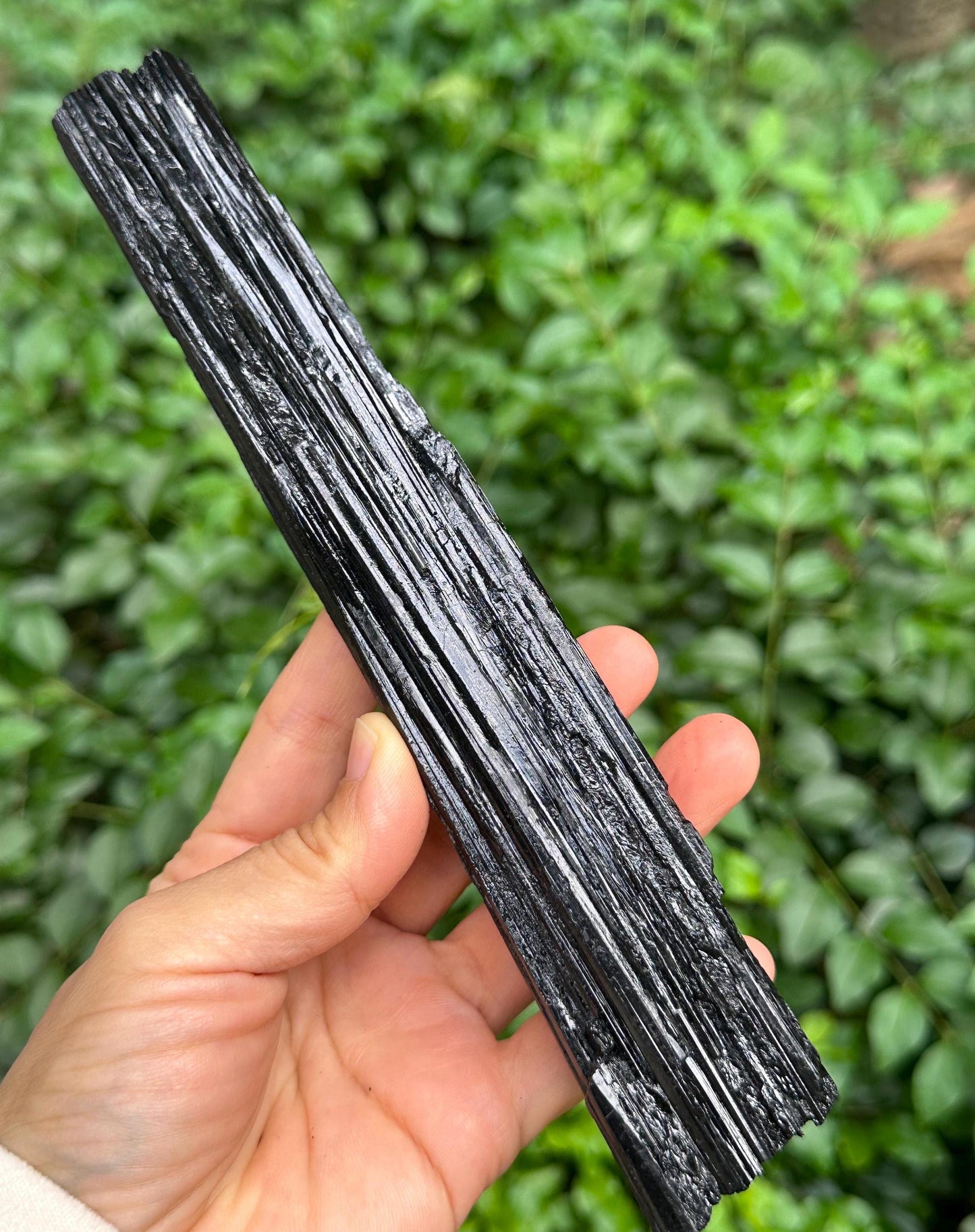 7.9" LONG Raw Black Tourmaline Crystal/Shining Tourmaline Specimen/Rough Tourmaline Specimen/Collection/Meditation/Healing-305 g