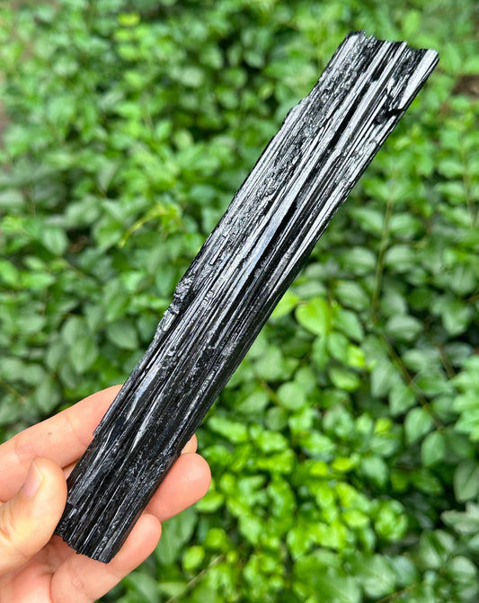 7.9" LONG Raw Black Tourmaline Crystal/Shining Tourmaline Specimen/Rough Tourmaline Specimen/Collection/Meditation/Healing-305 g