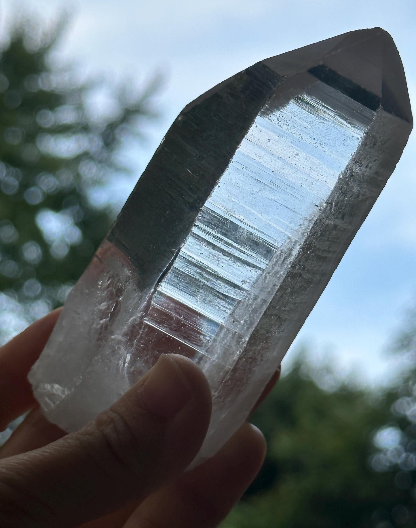 Clear Himalayan Record-keeper Quartz Crystal Point/Energy Crystal/Reiki/Healing/Meditation-293 g