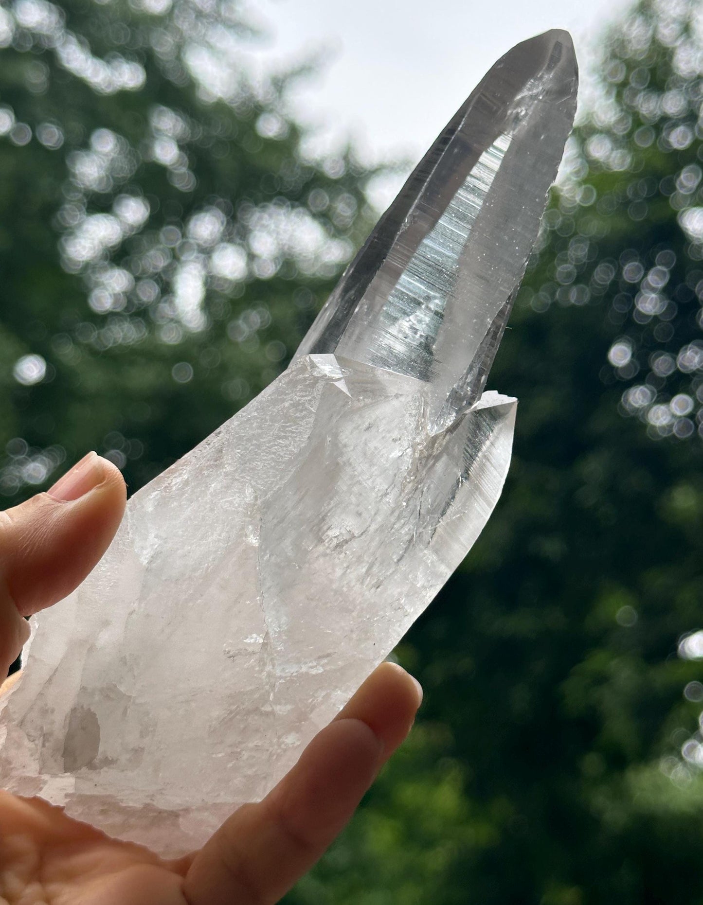 Natural Blue Angel's Feather Included Brazil Lemurian Seeds Quartz Muzo Blue Needle Crystal Point /Akashic Striation/Healing/Meditation-361g