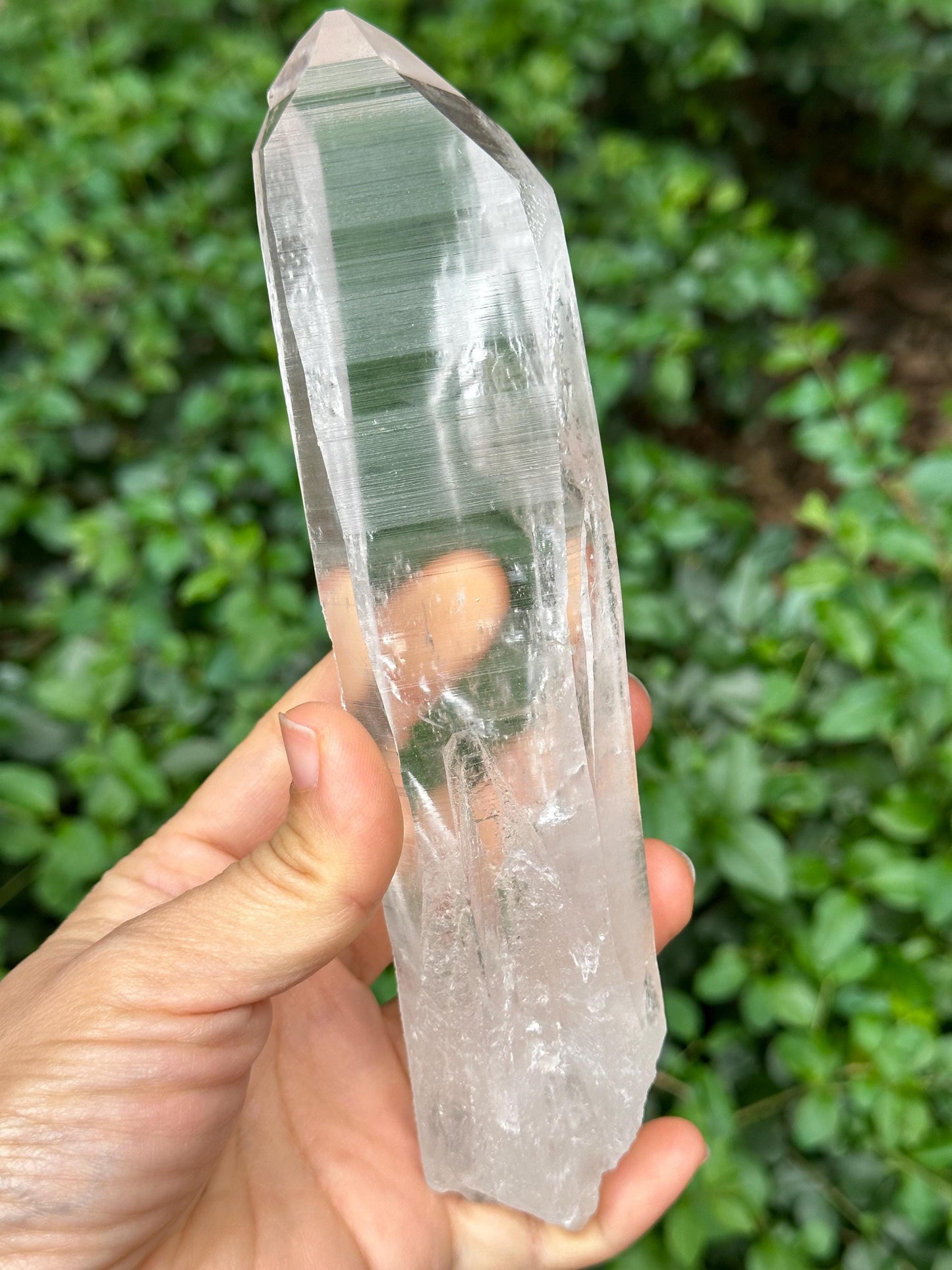 Clear Blue Angel's Feather Included Brazil Lemurian Seeds Quartz Muzo Blue Needle Crystal Point /Akashic Striation/Healing/Meditation-370 g