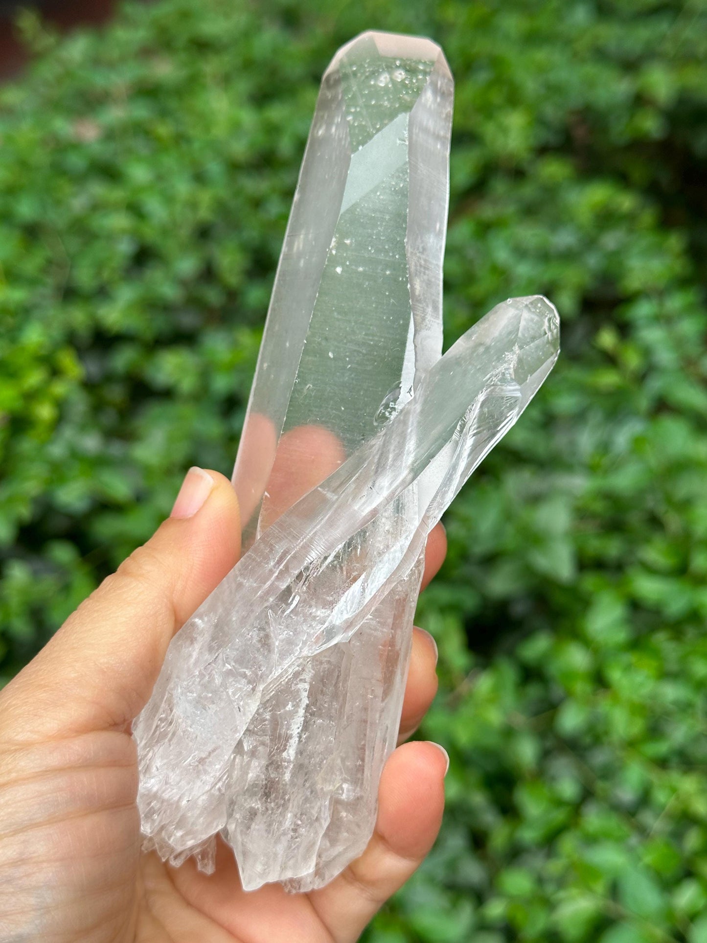 Brazil Lemurian Seeds Time Links Quartz Twins Crystal Point/Akashic Striation/Healing/Meditation/Special Gift-238 g