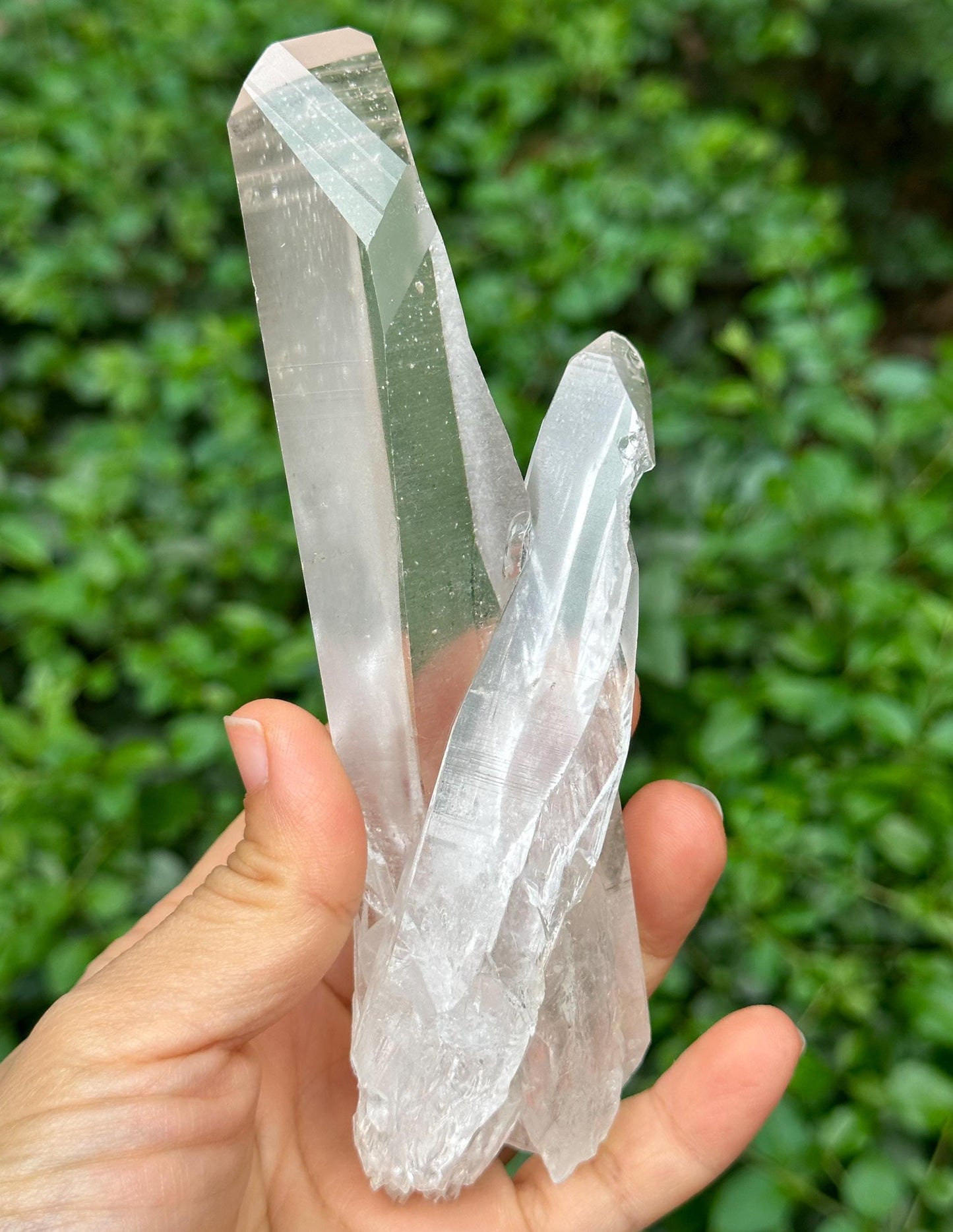 Brazil Lemurian Seeds Time Links Quartz Twins Crystal Point/Akashic Striation/Healing/Meditation/Special Gift-238 g