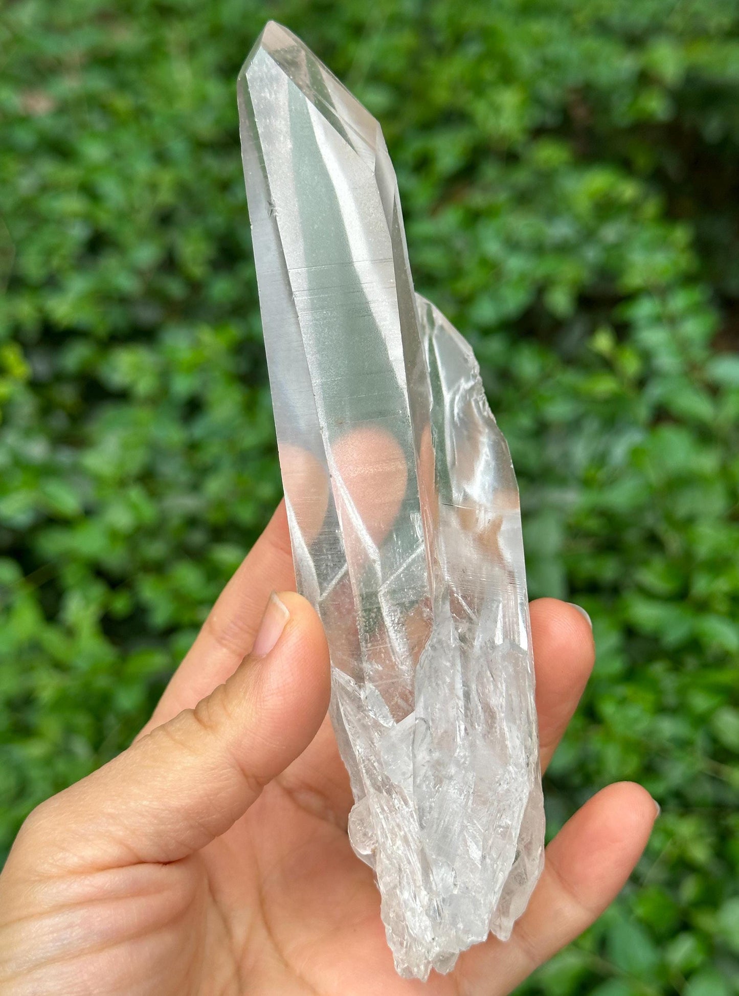 Brazil Lemurian Seeds Time Links Quartz Twins Crystal Point/Akashic Striation/Healing/Meditation/Special Gift-238 g