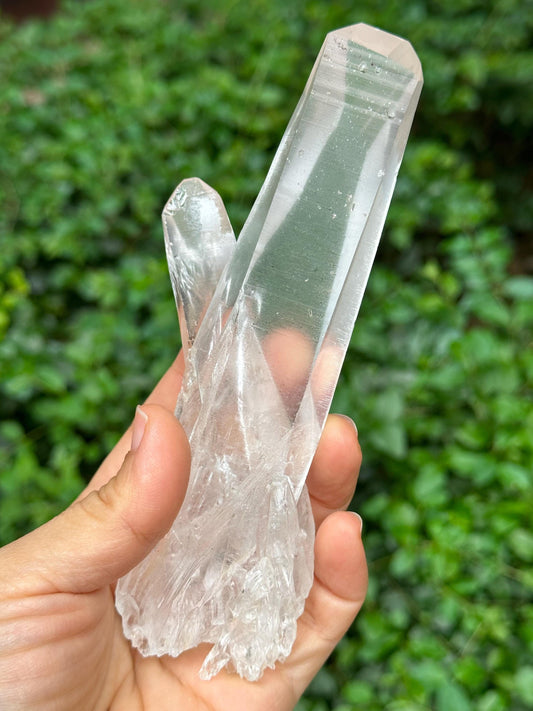 Brazil Lemurian Seeds Time Links Quartz Twins Crystal Point/Akashic Striation/Healing/Meditation/Special Gift-238 g