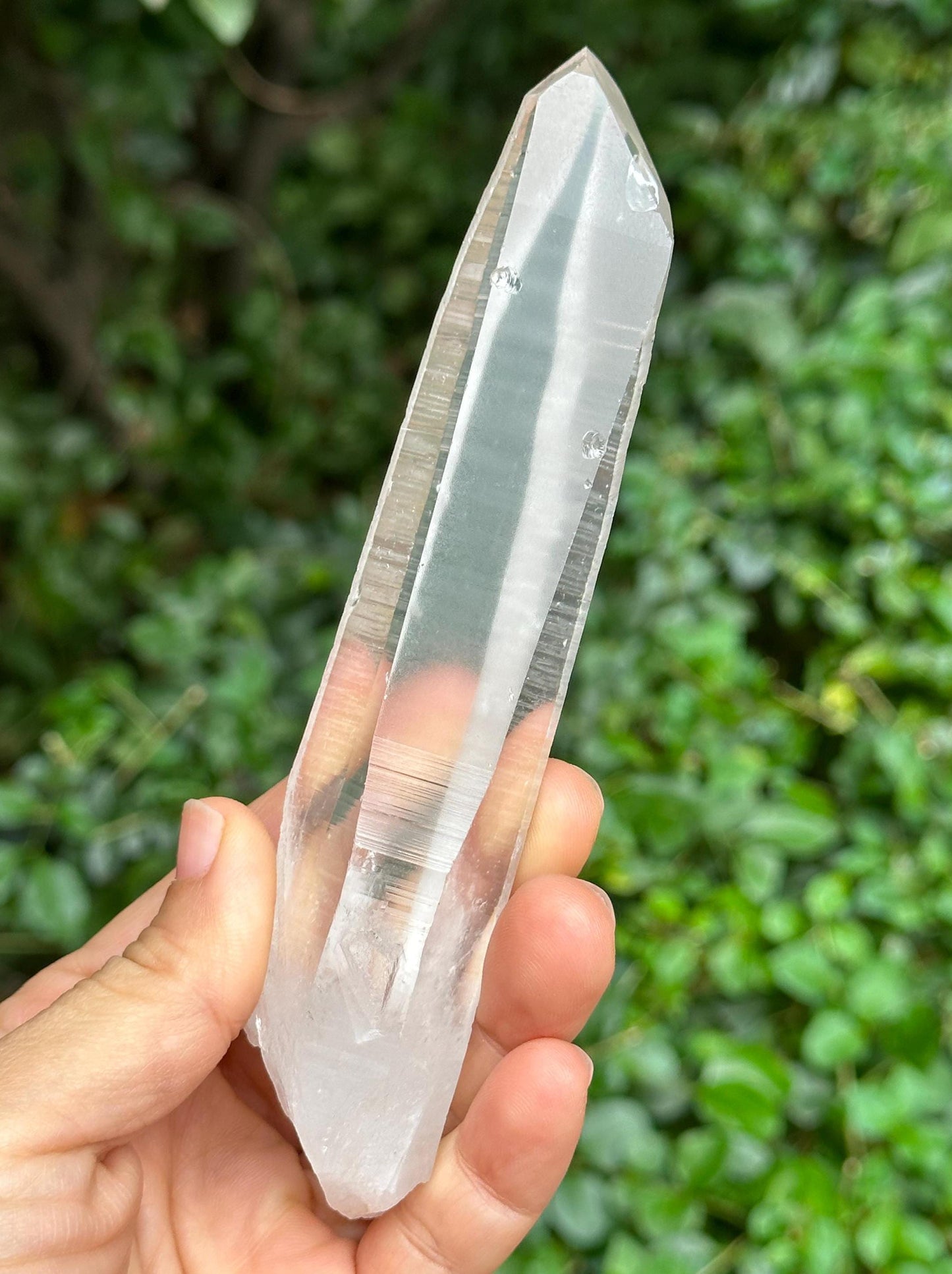 Clear Blue Needle Included Brazil Lemurian Seeds Quartz Muzo Blue Angel's Feather Crystal Point/Akashic Striation/Healing/Meditation-172 g