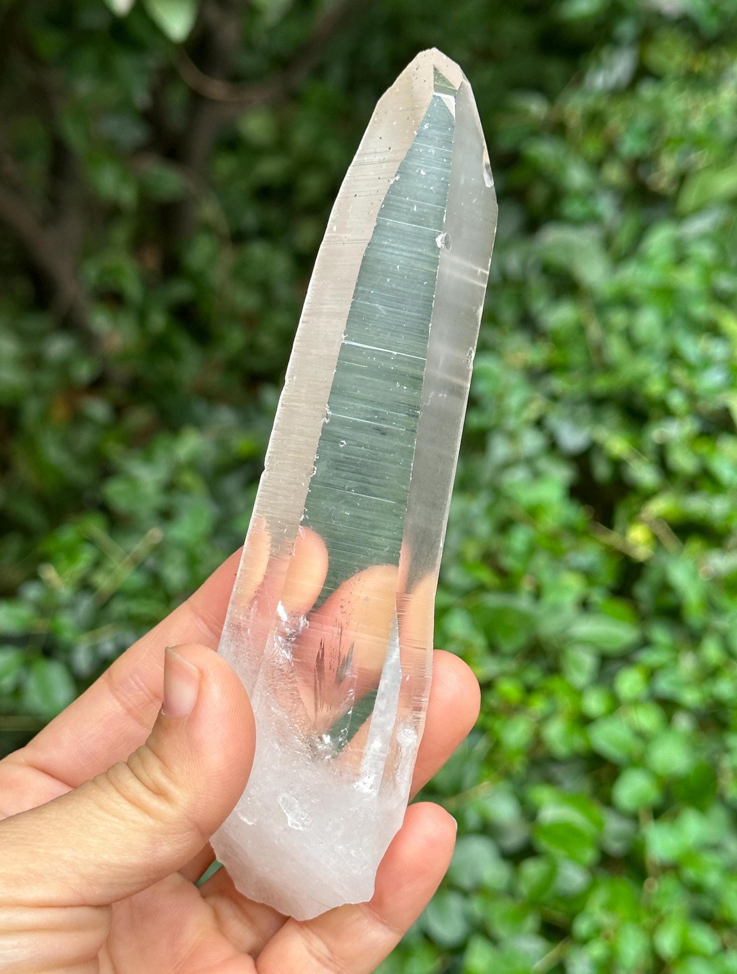 Clear Blue Needle Included Brazil Lemurian Seeds Quartz Muzo Blue Angel's Feather Crystal Point/Akashic Striation/Healing/Meditation-172 g