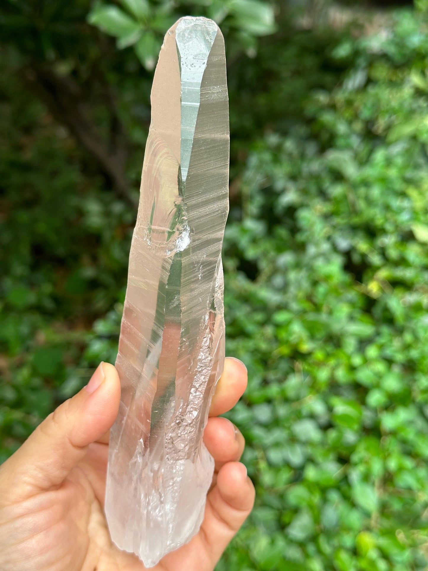 Clear Blue Needle Included Brazil Lemurian Seeds Quartz Muzo Blue Angel's Feather Crystal Point/Akashic Striation/Healing/Meditation-300 g