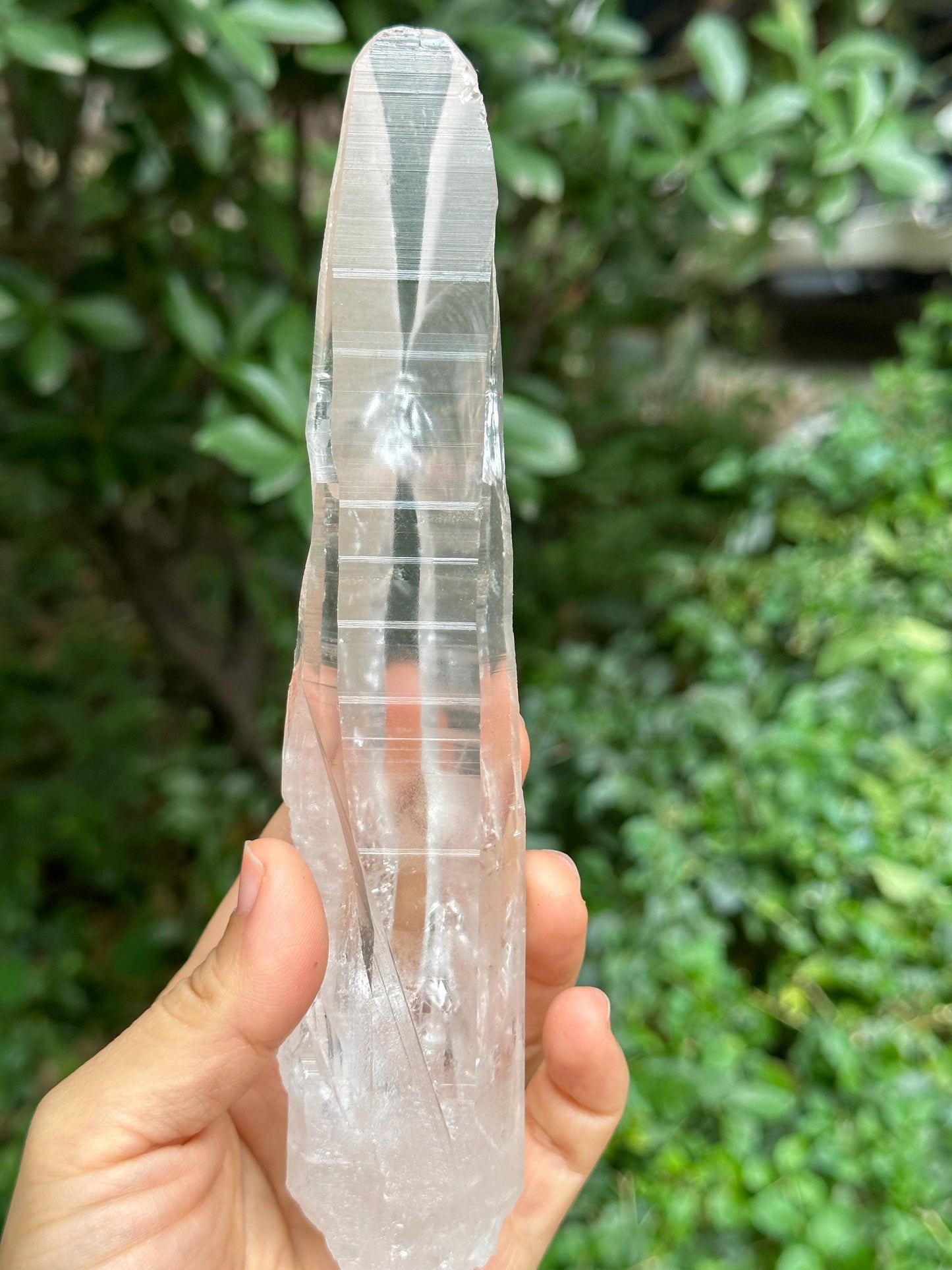 Clear Blue Needle Included Brazil Lemurian Seeds Quartz Muzo Blue Angel's Feather Crystal Point/Akashic Striation/Healing/Meditation-300 g