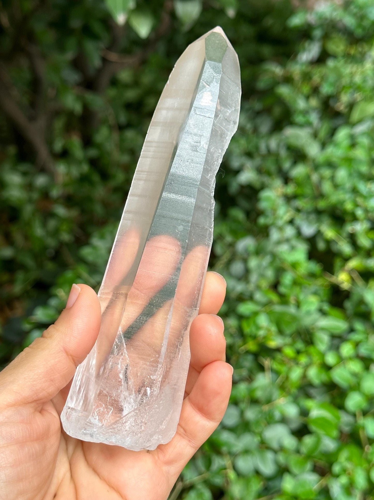 Natural Blue Angel's Feather Included Brazil Lemurian Seeds Record-keeper Quartz Muzo Blue Needle Crystal/Akashic Striation/Meditation-277 g