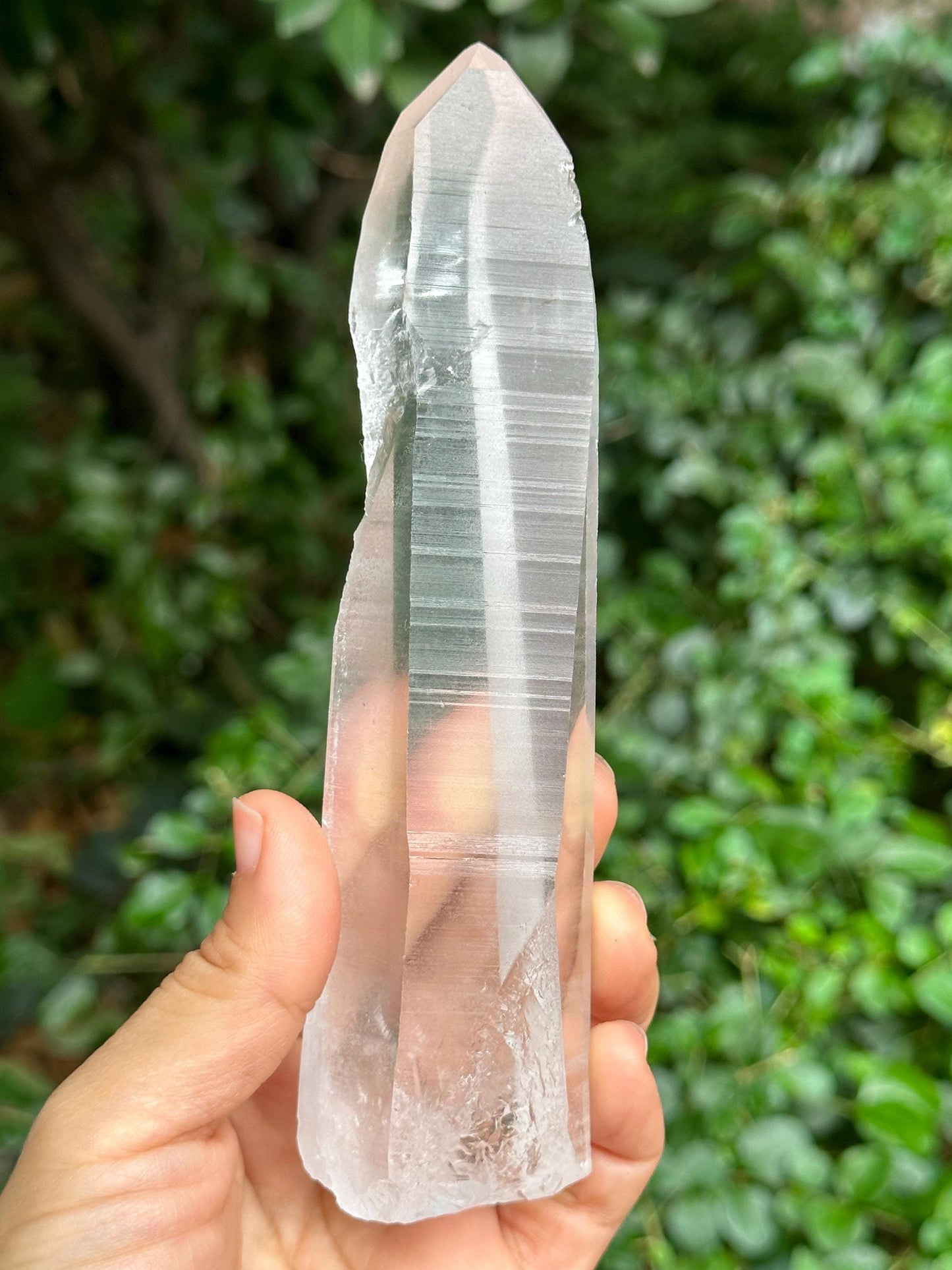 Natural Blue Angel's Feather Included Brazil Lemurian Seeds Record-keeper Quartz Muzo Blue Needle Crystal/Akashic Striation/Meditation-277 g