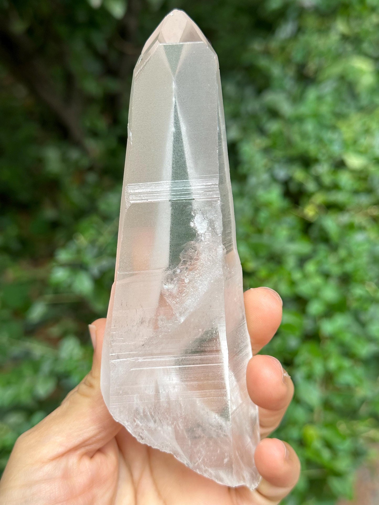 Clear Muzo Crystal Blue Needle Included Record-keeper Lemurian Seeds Quartz/Angel's Feather Laser Crystal/Akashic Striation/Meditation-239 g