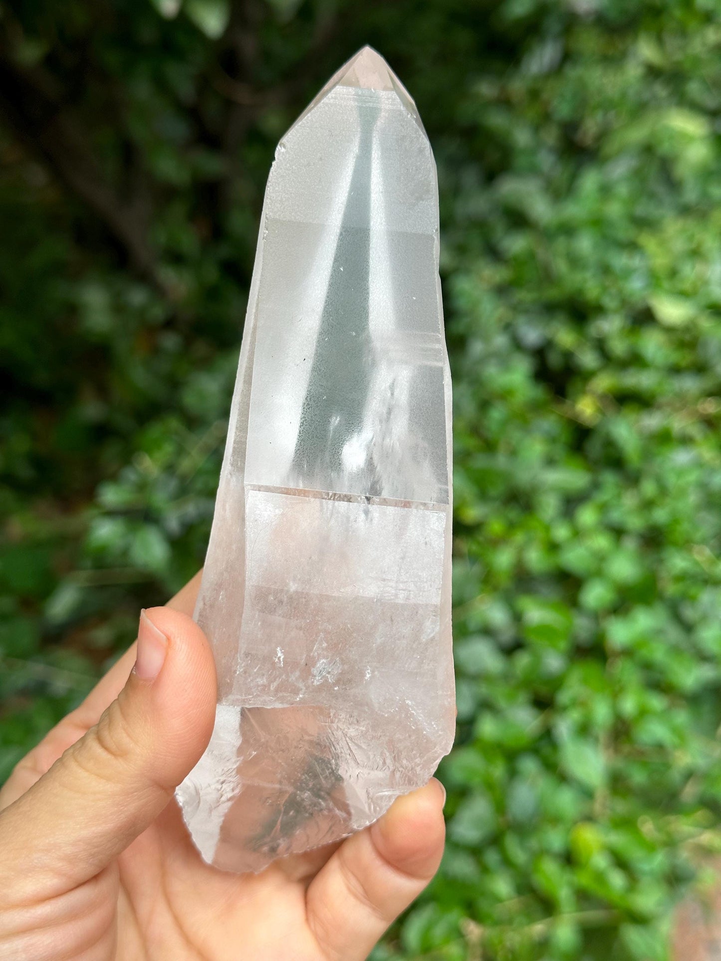 Clear Muzo Crystal Blue Needle Included Record-keeper Lemurian Seeds Quartz/Angel's Feather Laser Crystal/Akashic Striation/Meditation-239 g