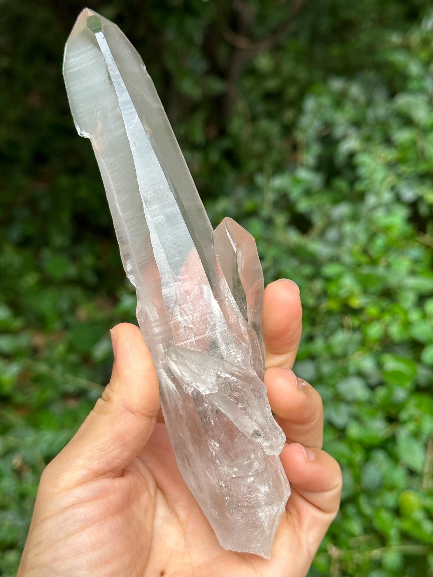 Clear Muzo Crystal Blue Needle Included Record-keeper Lemurian Seeds Quartz/Angel's Feather Laser Crystal/Akashic Striation/Meditation-229 g