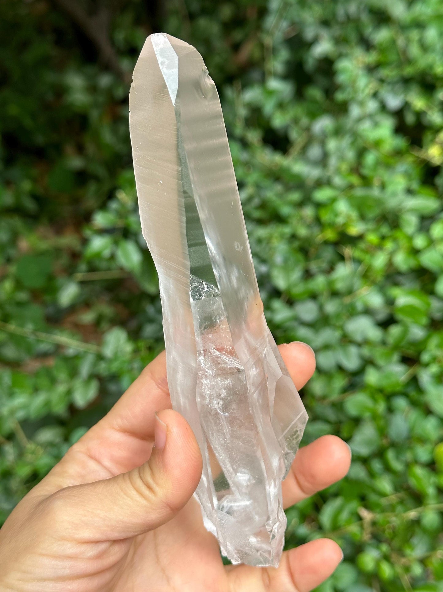 Natural Blue Angel's Feather Included Brazil Lemurian Seeds Record-keeper Quartz Muzo Blue Needle Crystal/Akashic Striation/Meditation-300 g