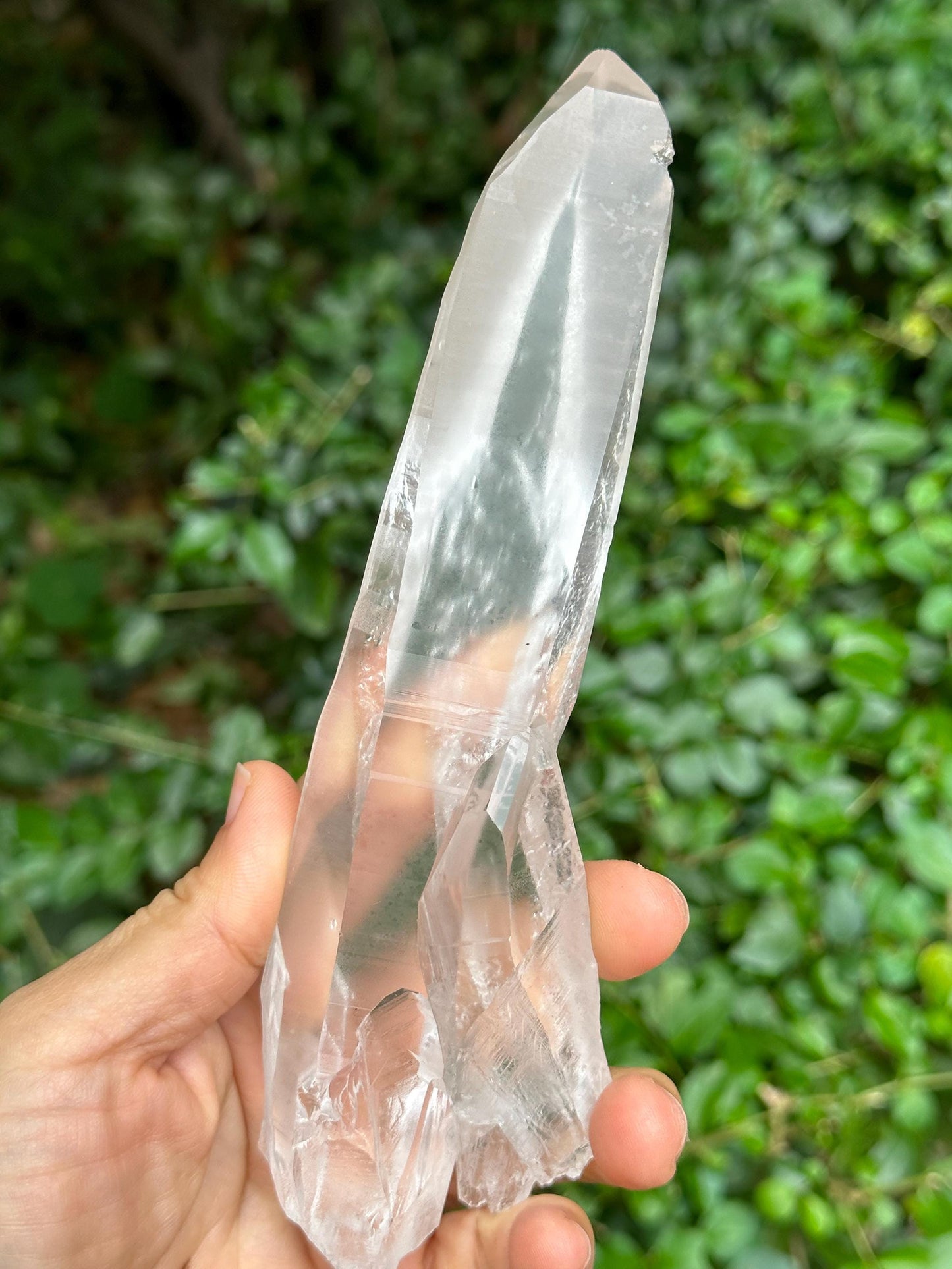 Natural Blue Angel's Feather Included Brazil Lemurian Seeds Record-keeper Quartz Muzo Blue Needle Crystal/Akashic Striation/Meditation-300 g