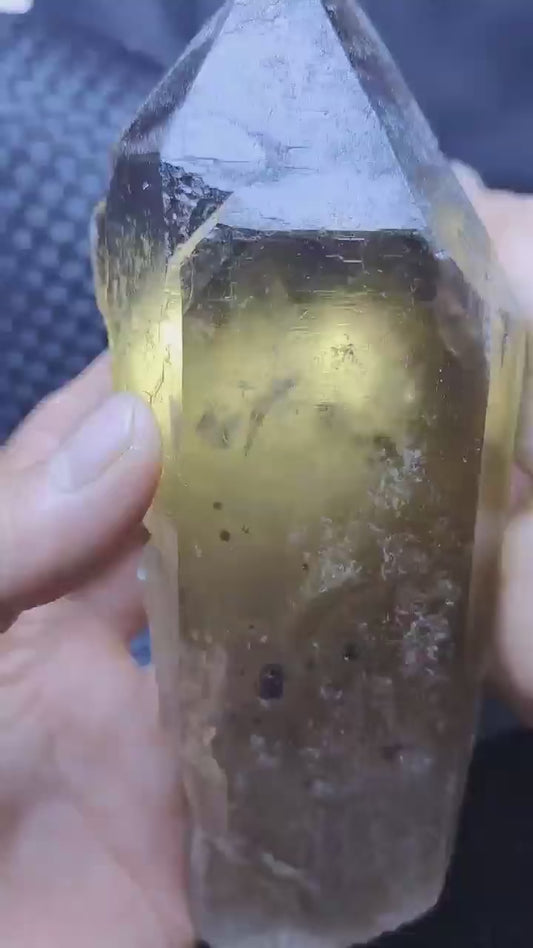 919g Double Terminated Morion Quartz Grow withe Garnet Crystal Point Black Crystal