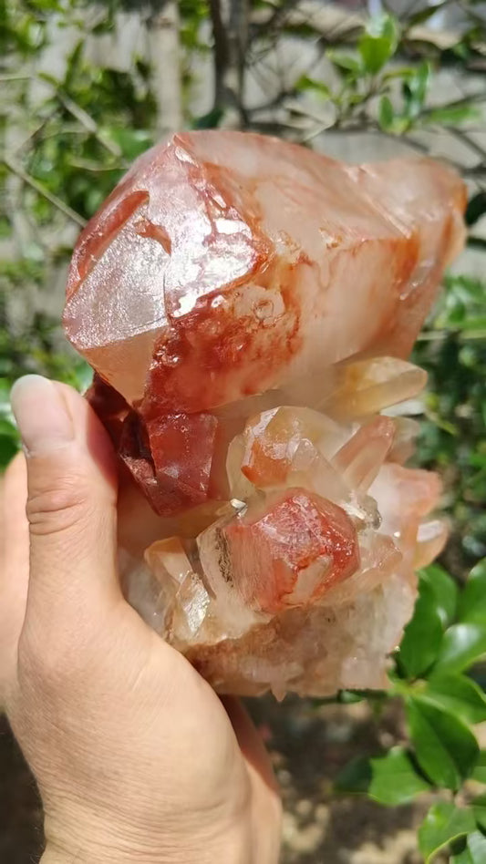 Large Red Faden Quartz Crystal Abundance Double Terminated Quartz Crystal